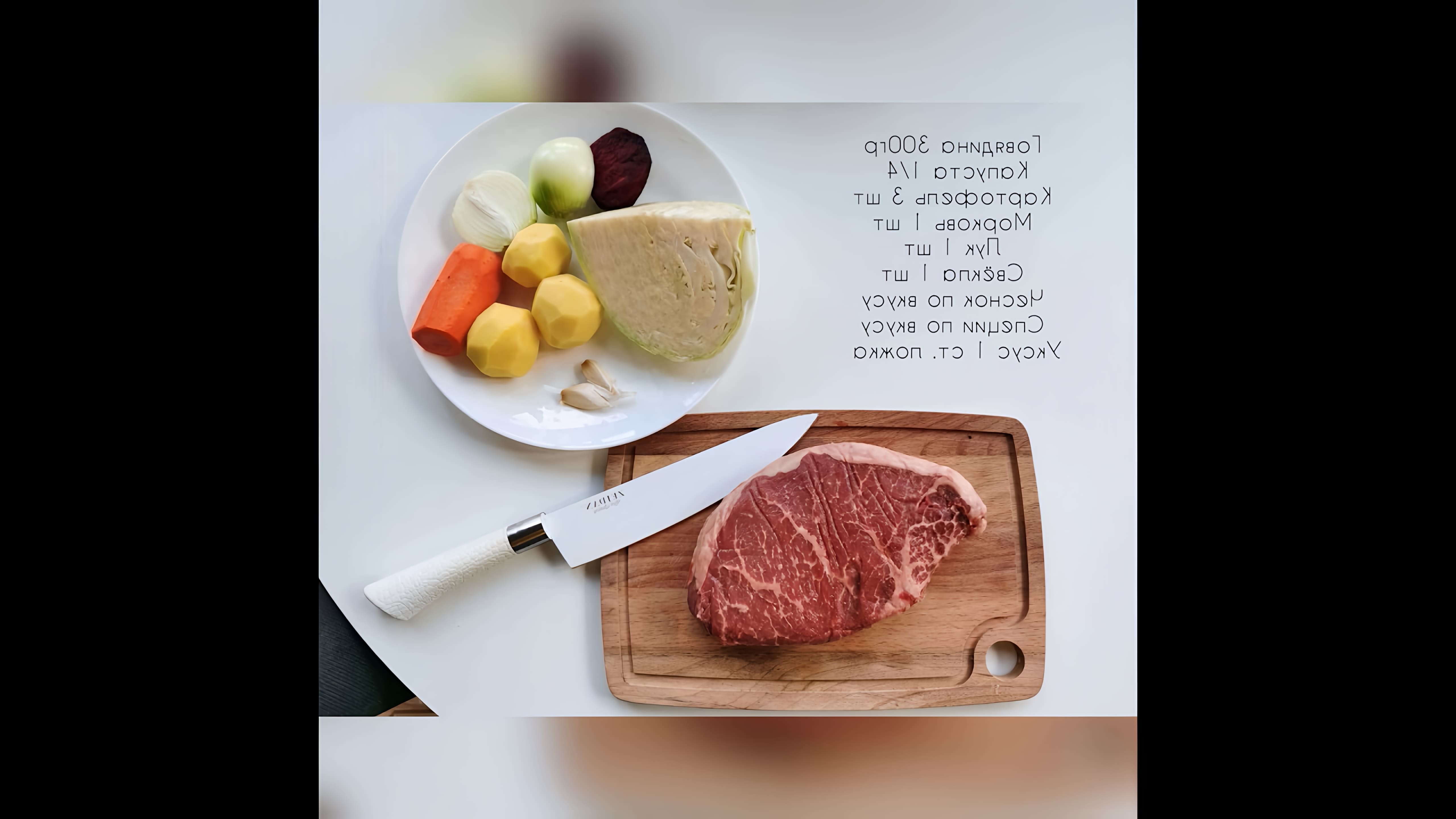 В этом видео-ролике будет показан простой и быстрый рецепт вкусного борща с говядиной