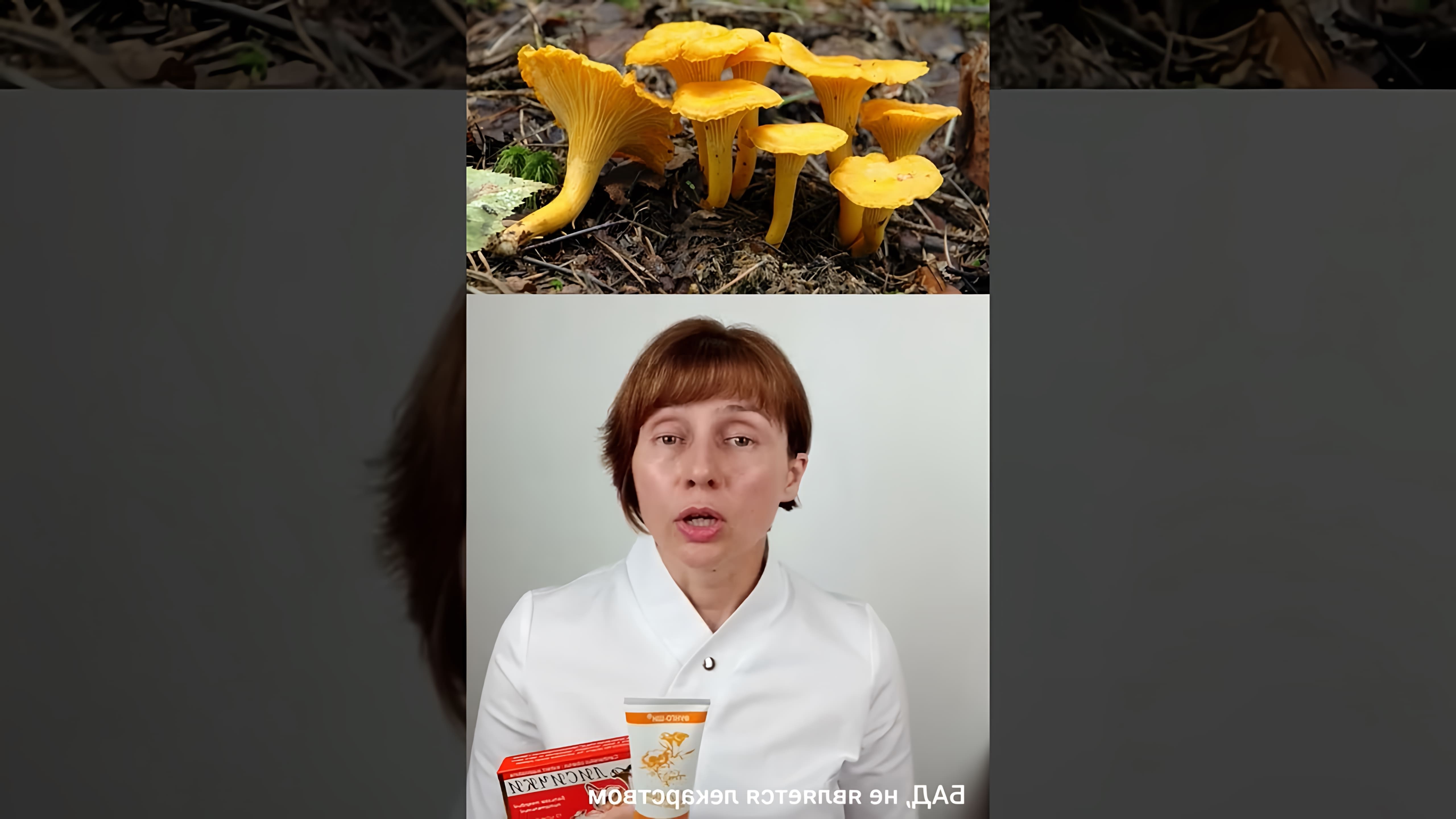 В этом видео рассказывается о полезных свойствах грибов лисичек