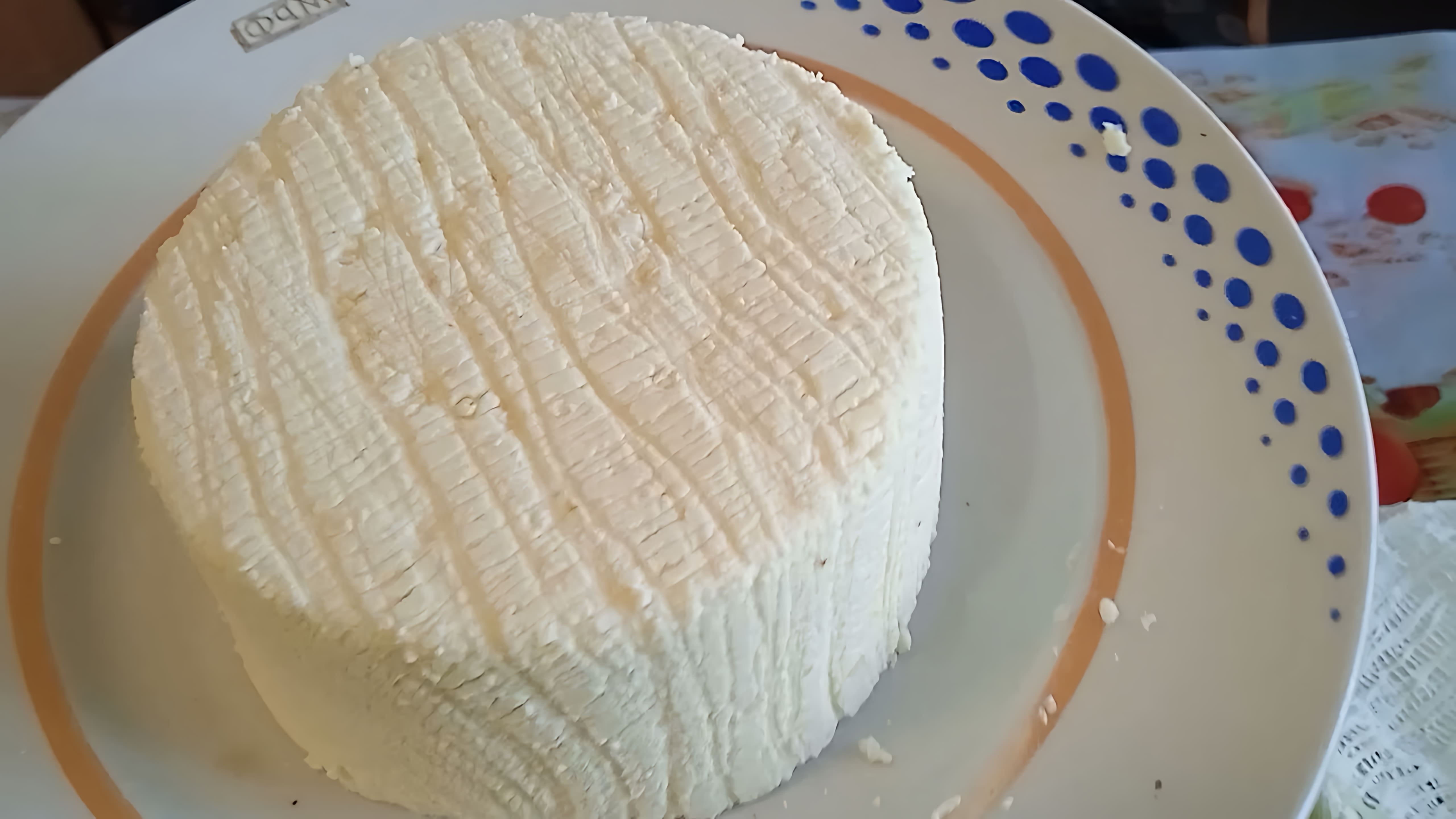 В этом видео демонстрируется процесс приготовления творожного сыра из козьего молока