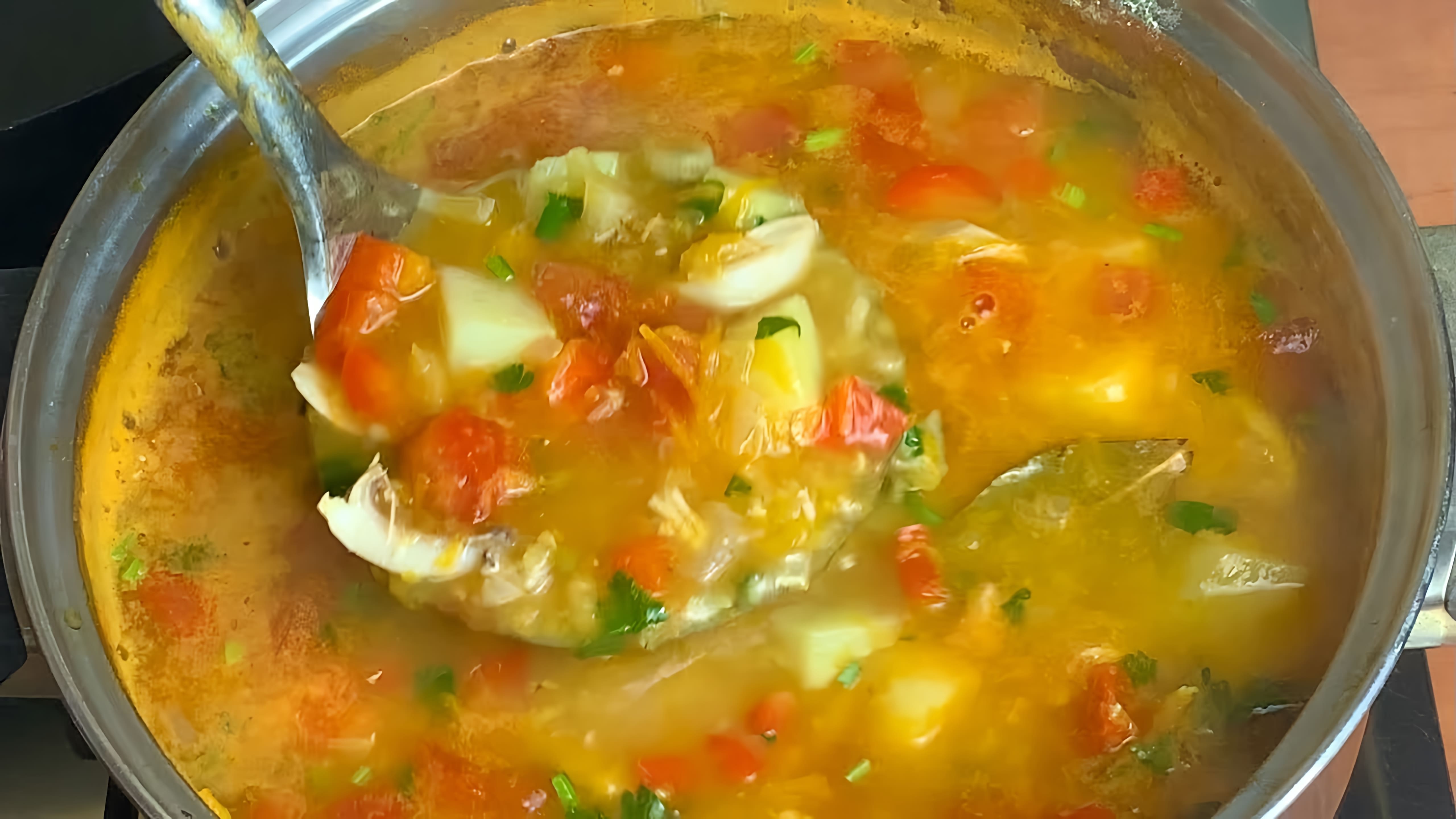 Видео рецепт вкусного курино-овощного супа, который создатель утверждает, что они могут есть каждый день и который стоит готовить раз в неделю