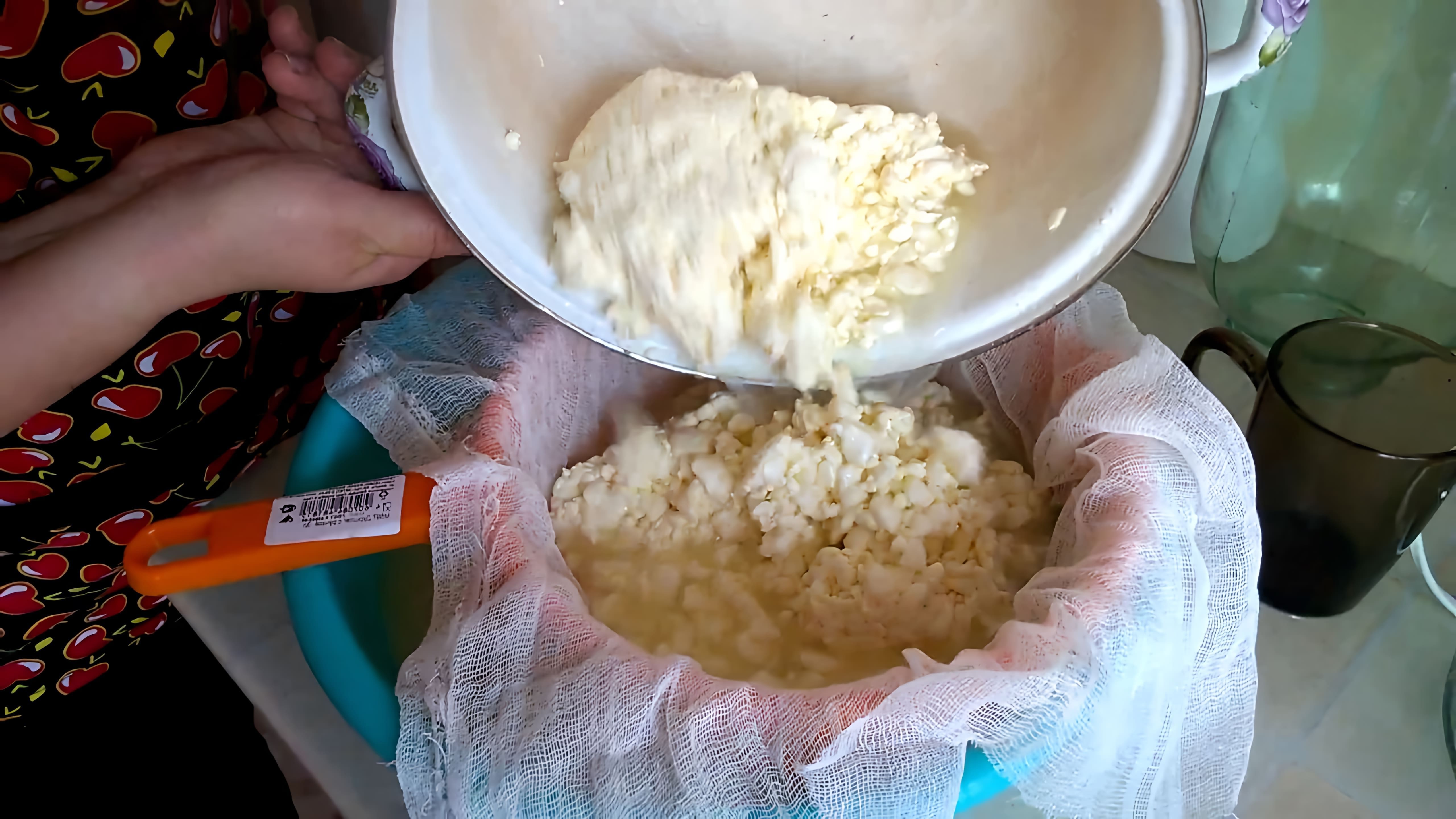 В этом видео демонстрируется процесс приготовления домашнего сыра с использованием фермента Meito