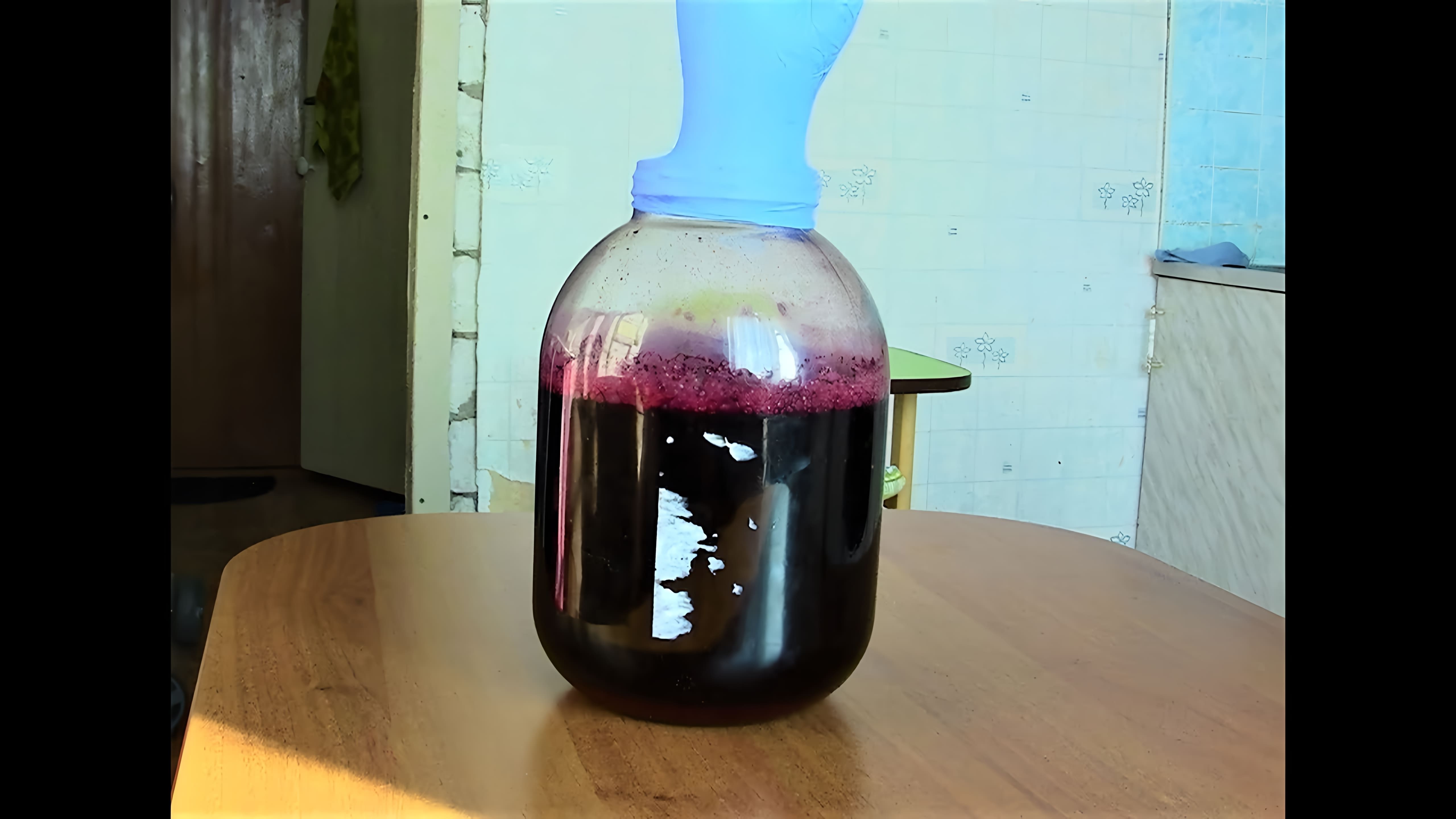 В данном видео рассказывается о процессе приготовления домашнего вина из черноплодной рябины