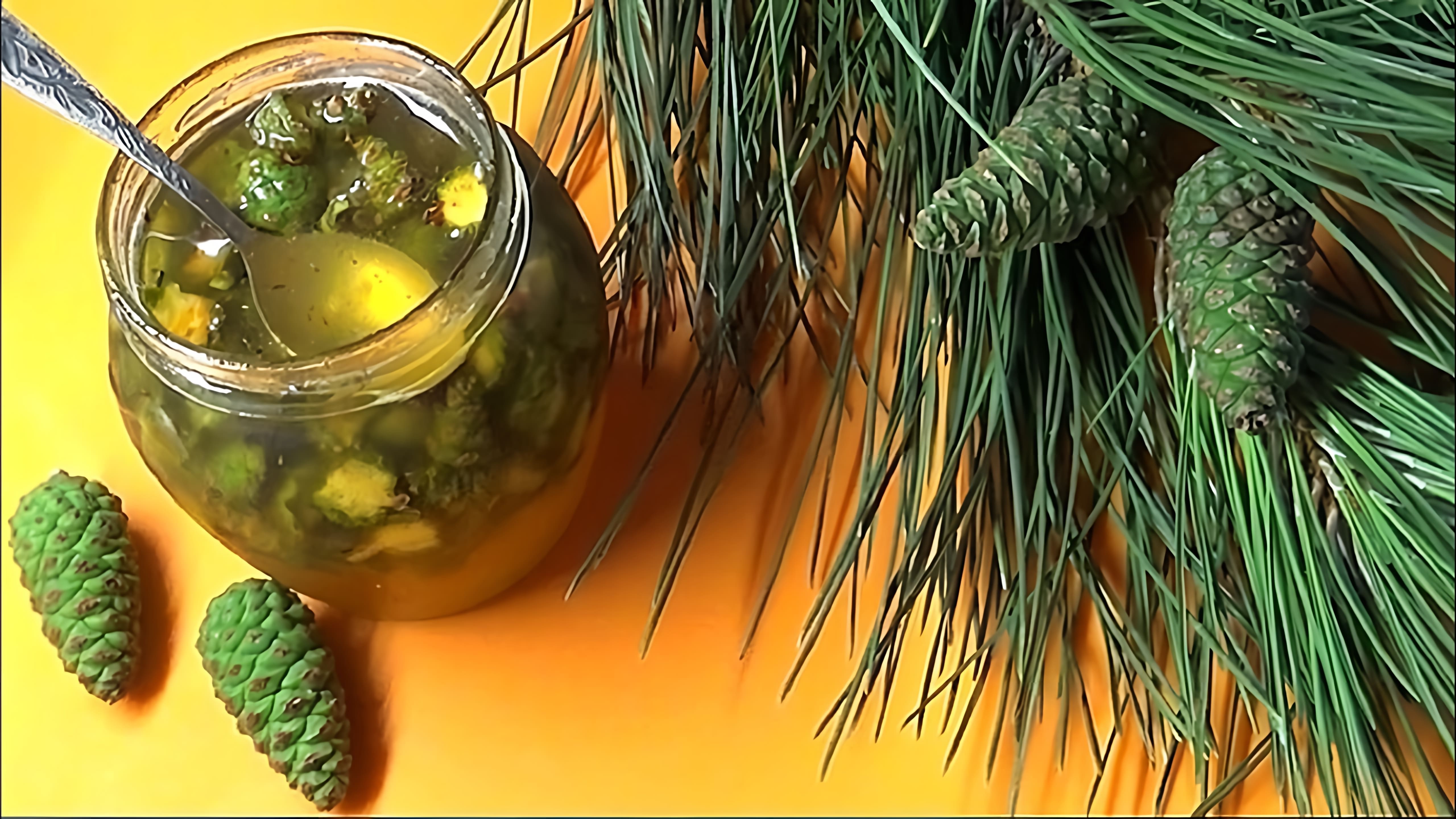 Настой шишек сосны. Настой сосновых шишек. Экстракт сосновых шишек. Настойка на зеленых шишках сосны. Настойка на зеленых шишках сосны.