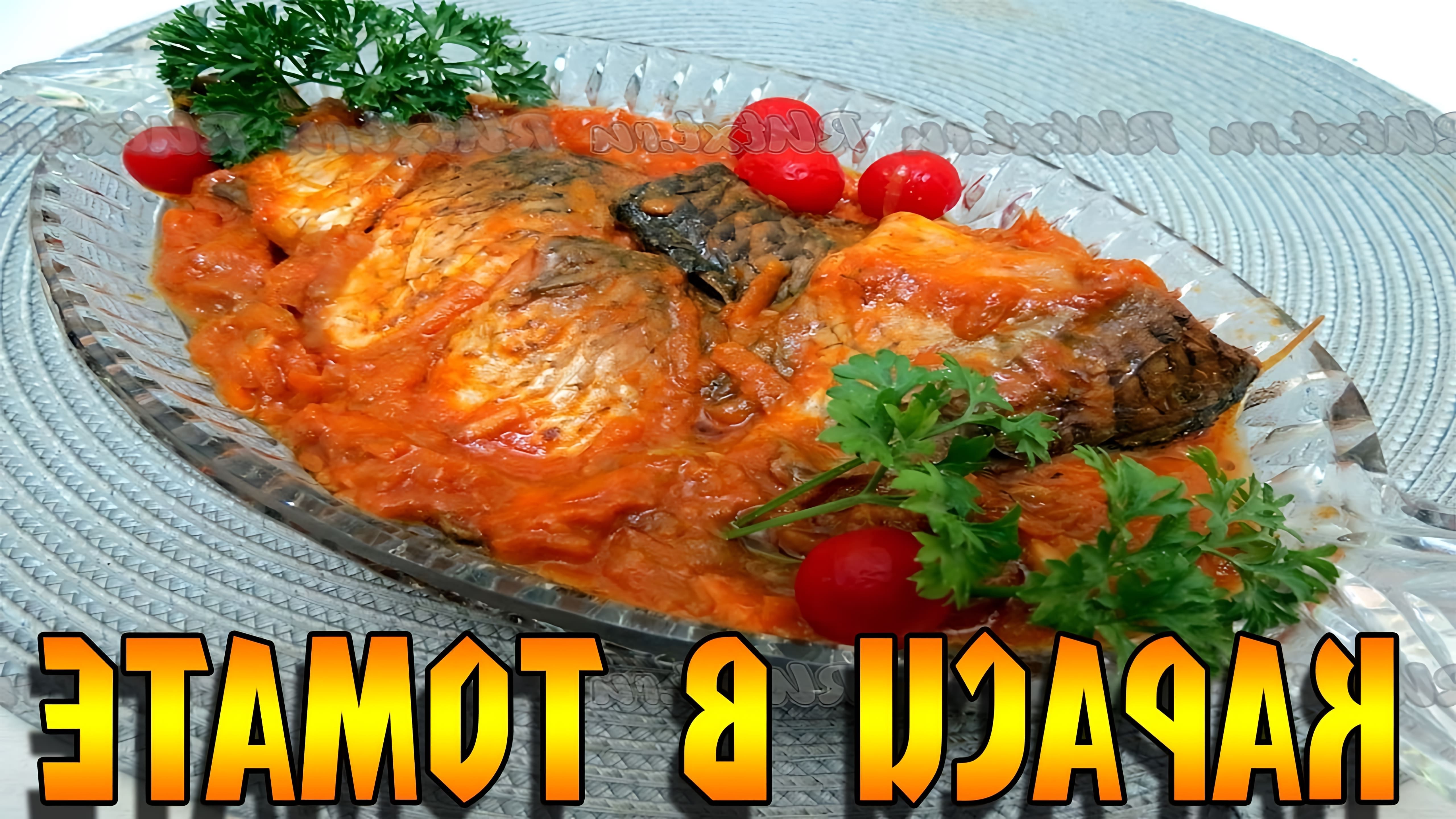 В этом видео-ролике вы увидите, как приготовить вкусное и нежное блюдо - карасей в томате