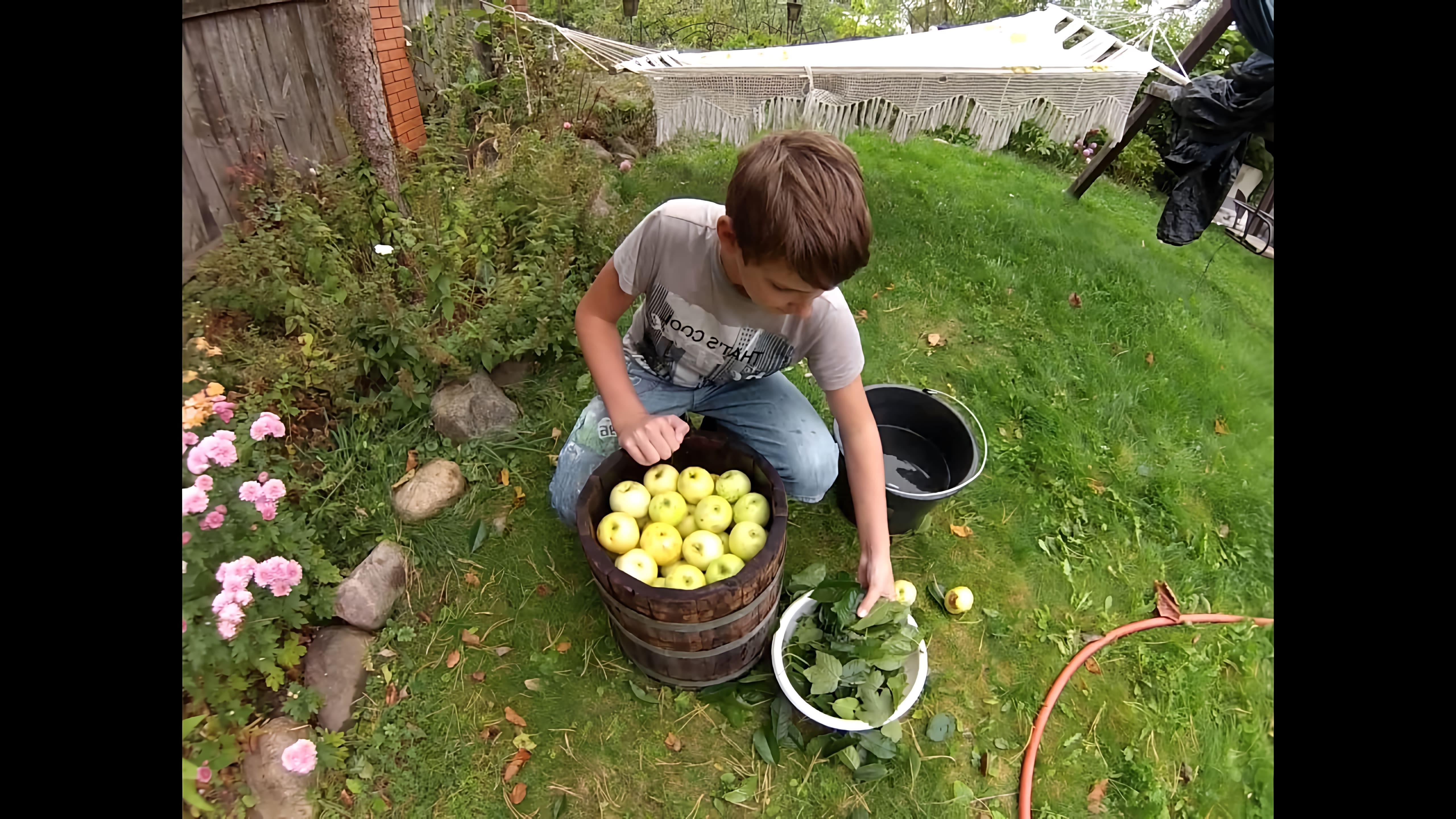 Мочёные яблоки - это старинный рецепт, который использовался в России для сохранения яблок на зиму