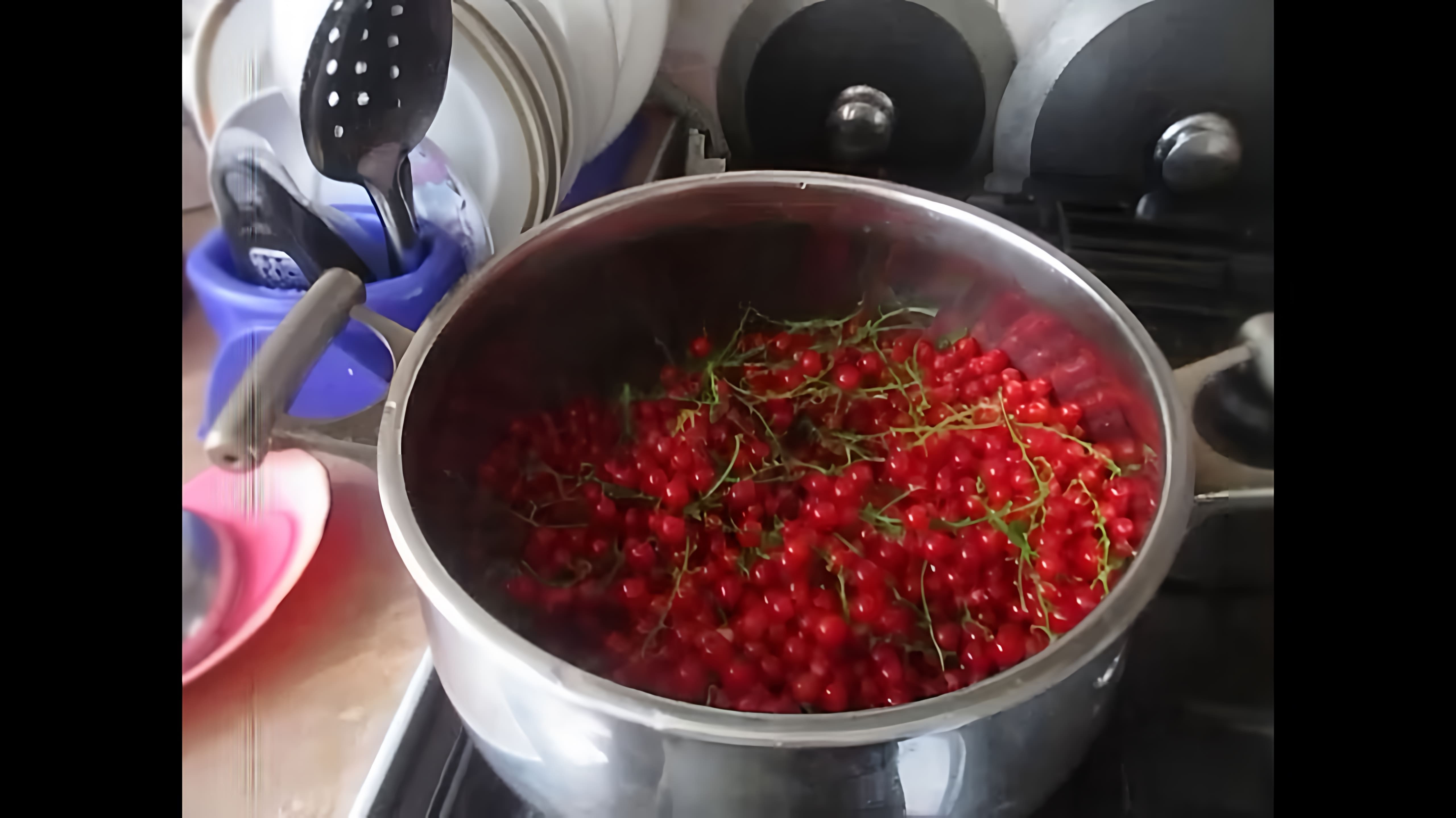 В этом видео демонстрируется процесс приготовления желе из красной смородины без варки