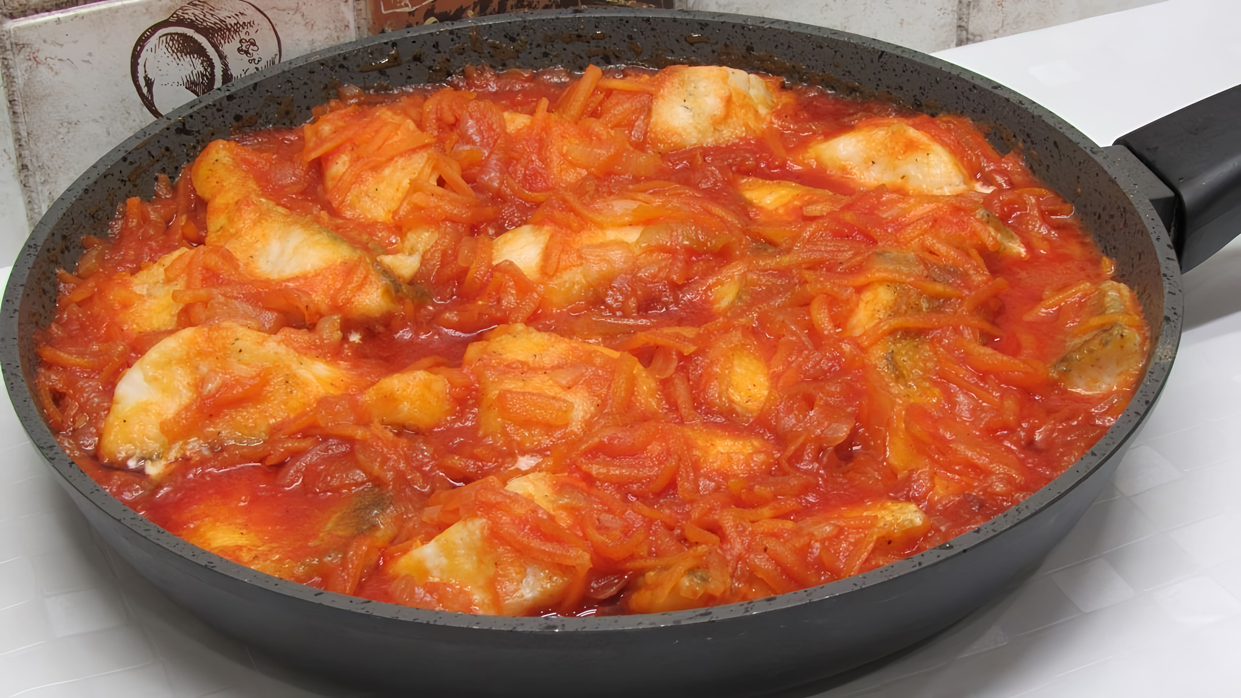 Видео рецепт приготовления рыбы (щуки-окуня) в томатном соусе на плите