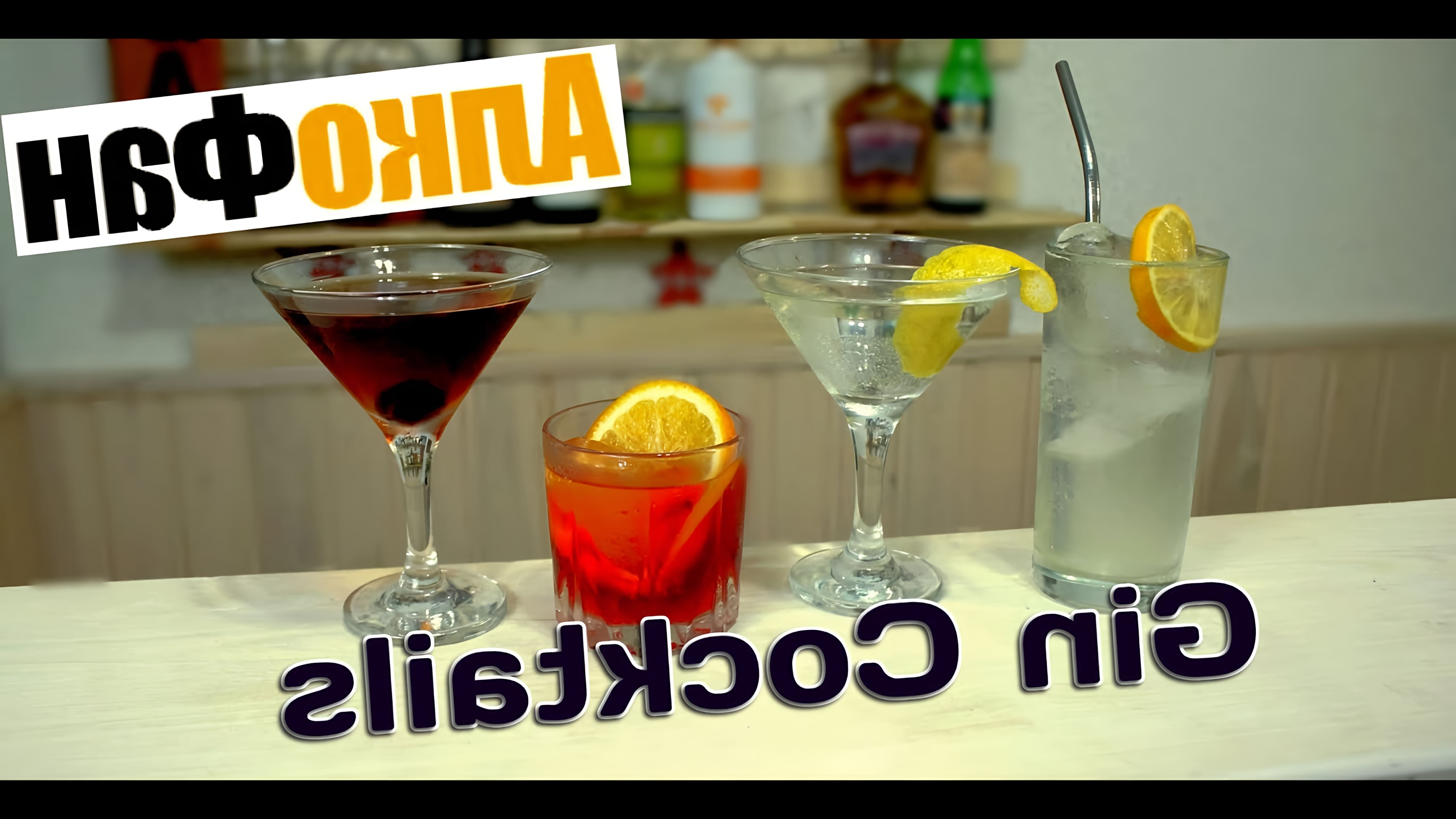 В этом видео Дмитрий показывает, как приготовить четыре простых коктейля на основе джина