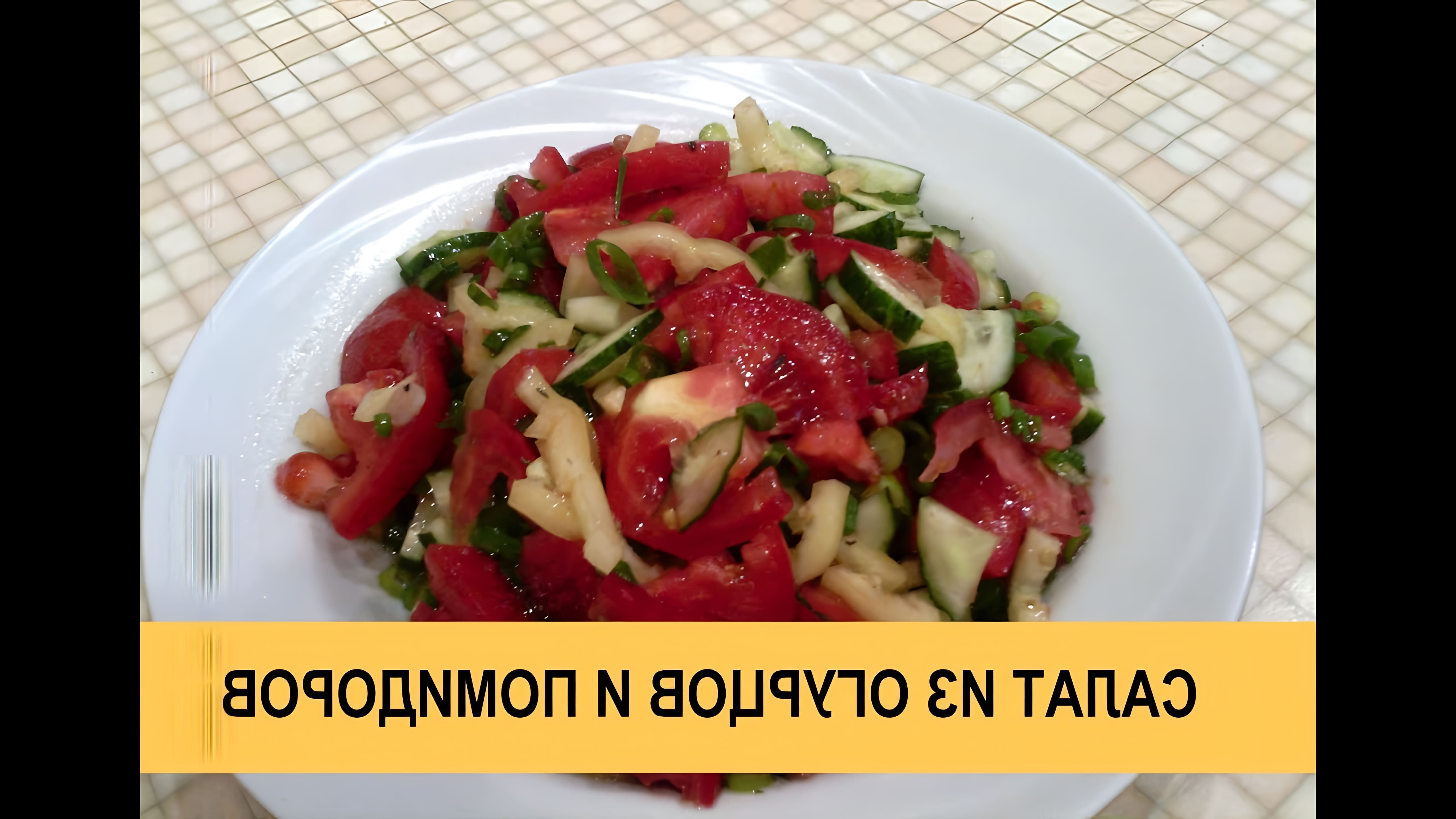 В этом видео Кристина Оловянникова показывает, как приготовить легкий салат из помидоров, огурцов, перца, зеленого лука и итальянских трав