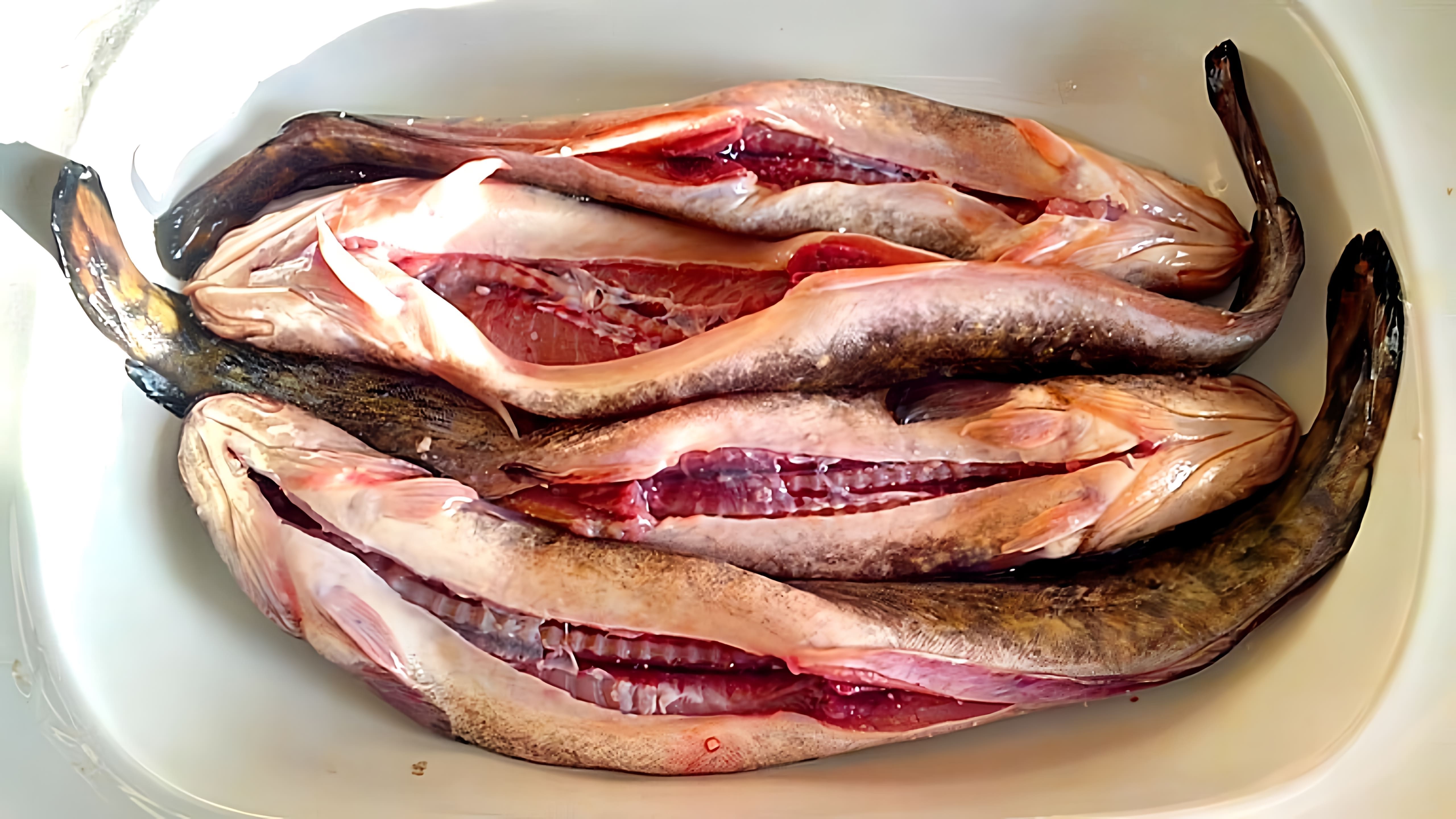 В этом видео рассказывается о налиме, рыбе семейства тресковых, которая является отличным источником высококачественного белка и легко усваивается организмом