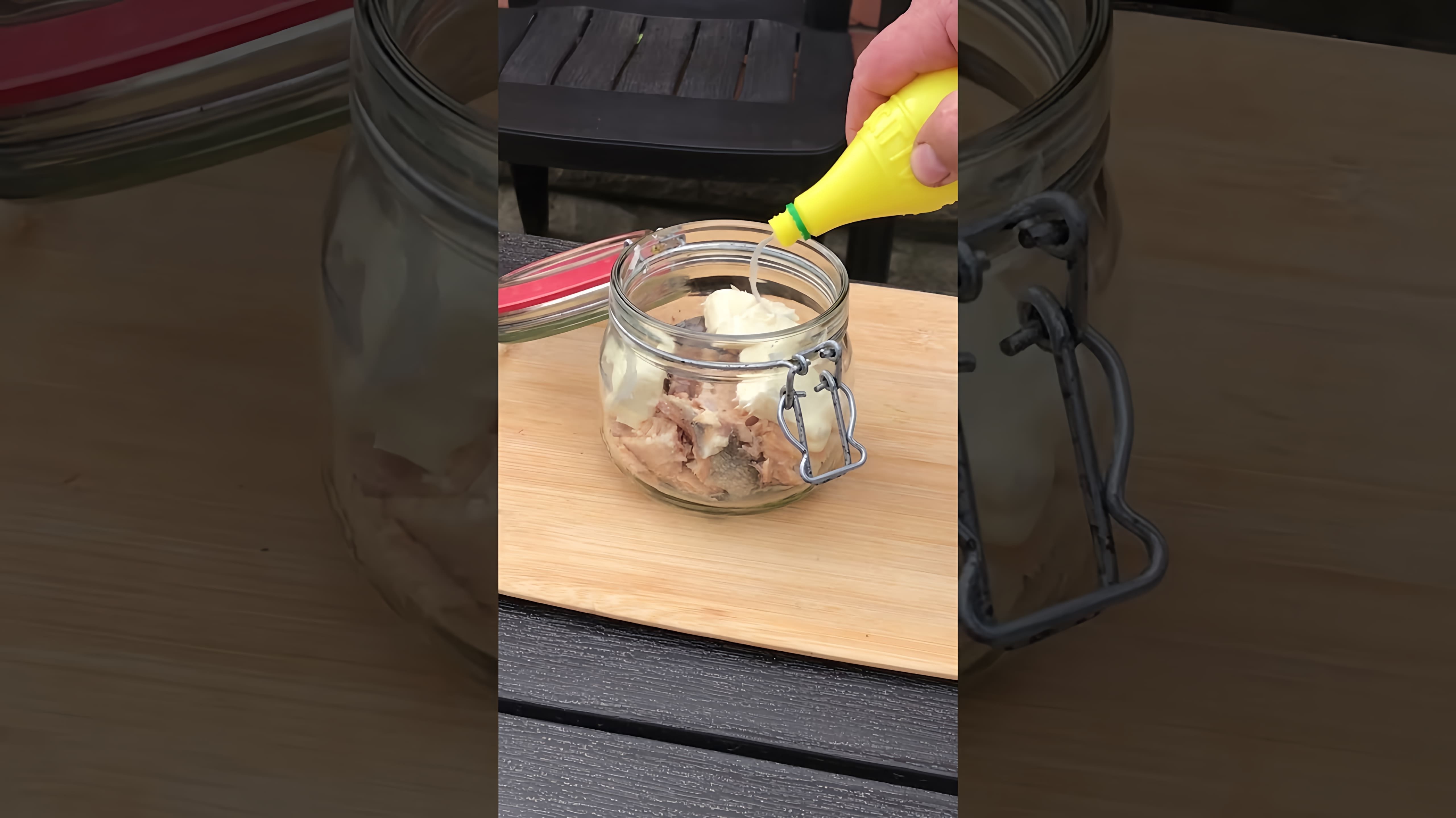 В этом видео-ролике вы увидите, как приготовить паштет из консервированной горбуши всего за одну минуту
