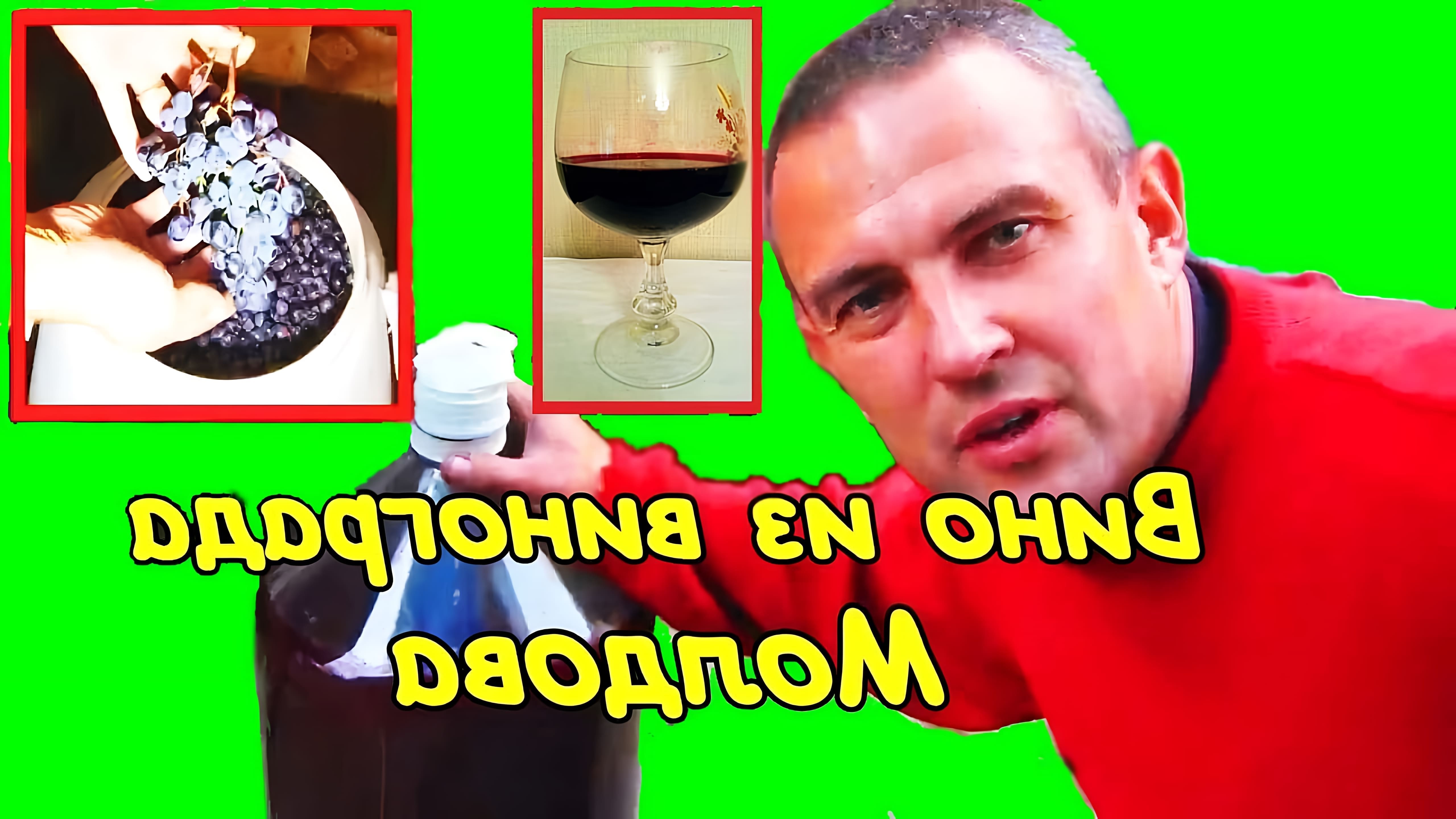 В данном видео рассказывается о процессе изготовления домашнего вина из винограда сорта Молдова