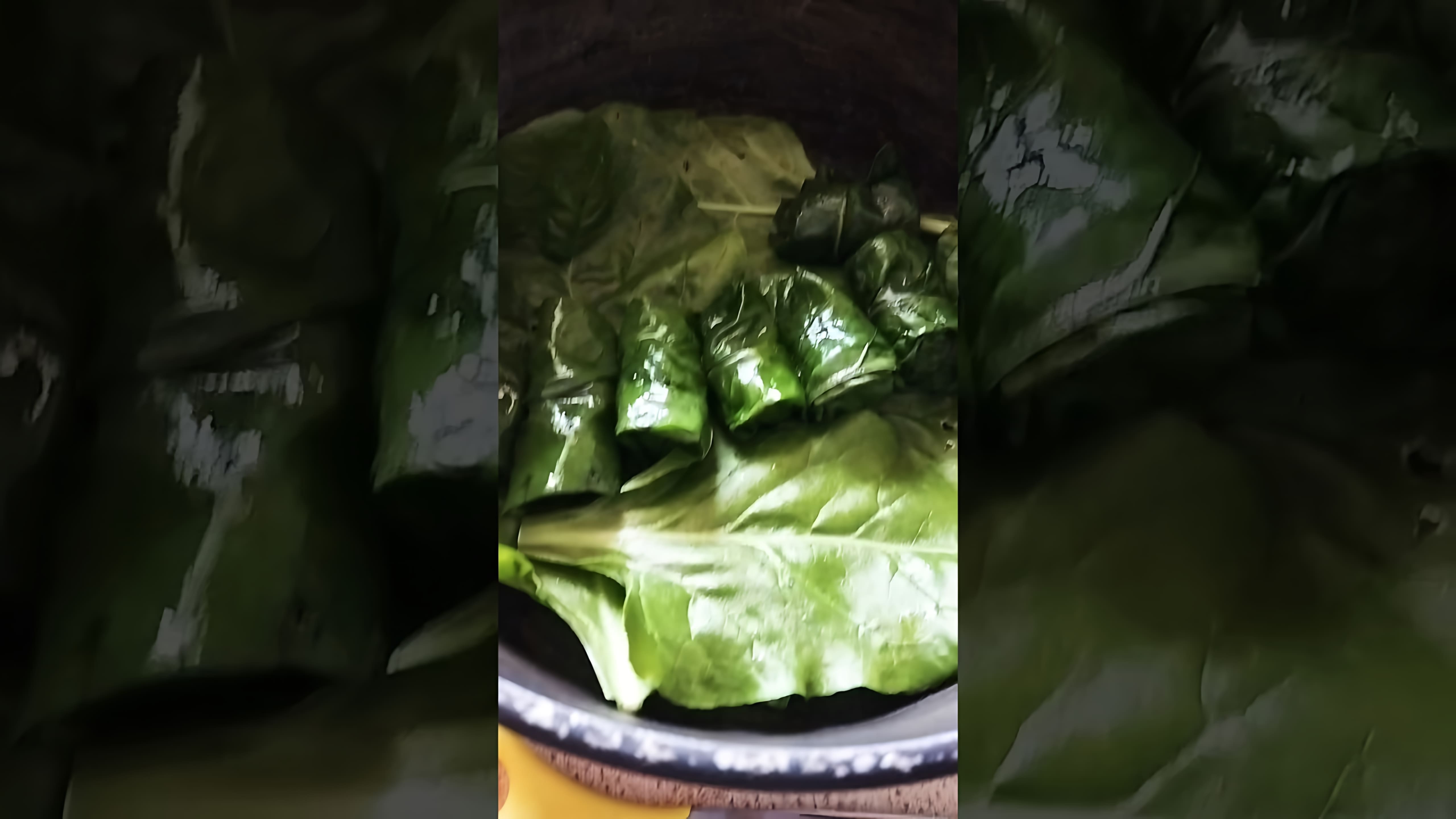 В этом видео-ролике показан процесс приготовления долмы из листьев мангольда