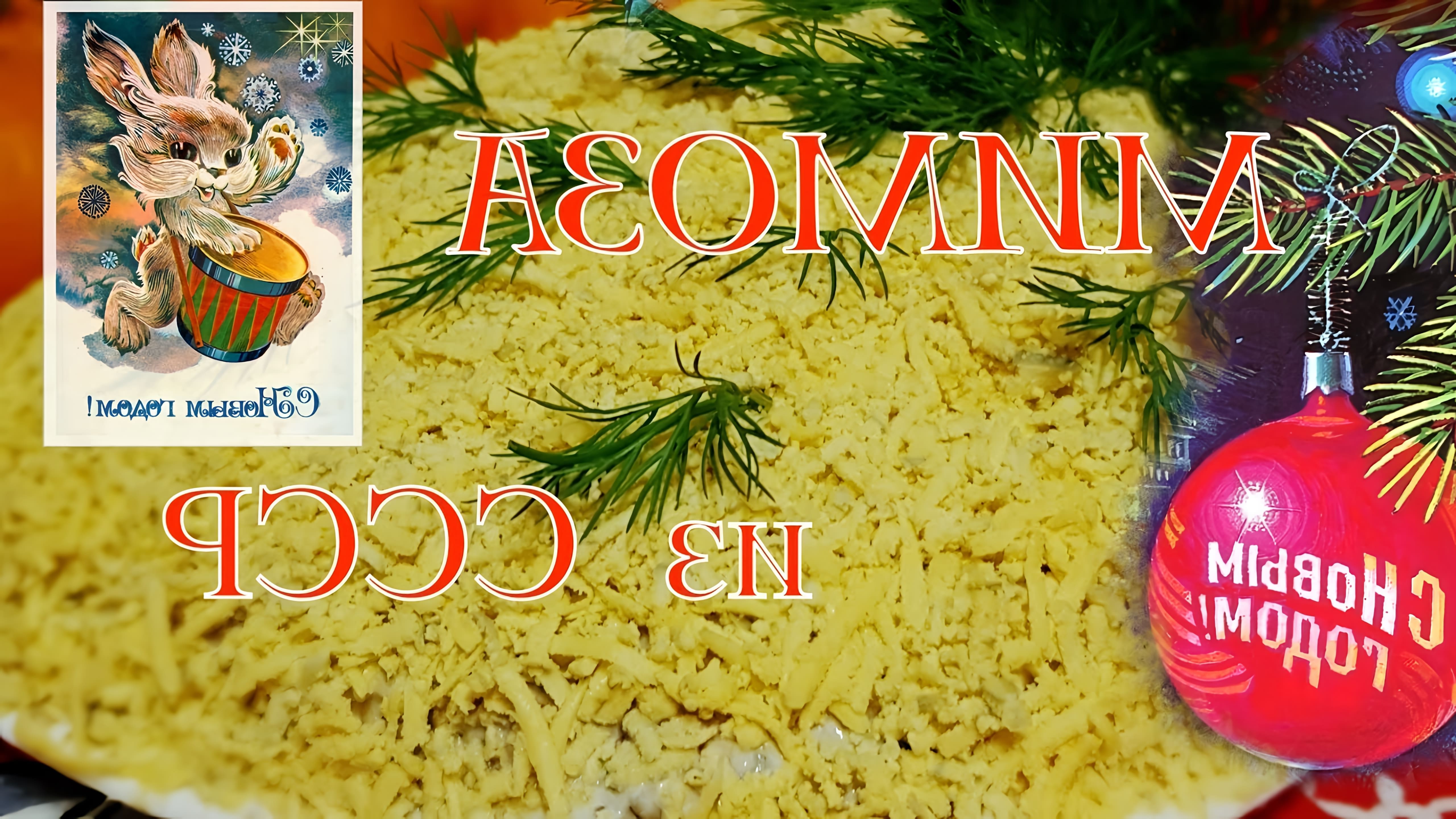 "Рецепт салата "Мимоза" - тот самый из СССР" - это видео-ролик, который представляет собой инструкцию по приготовлению классического салата "Мимоза"