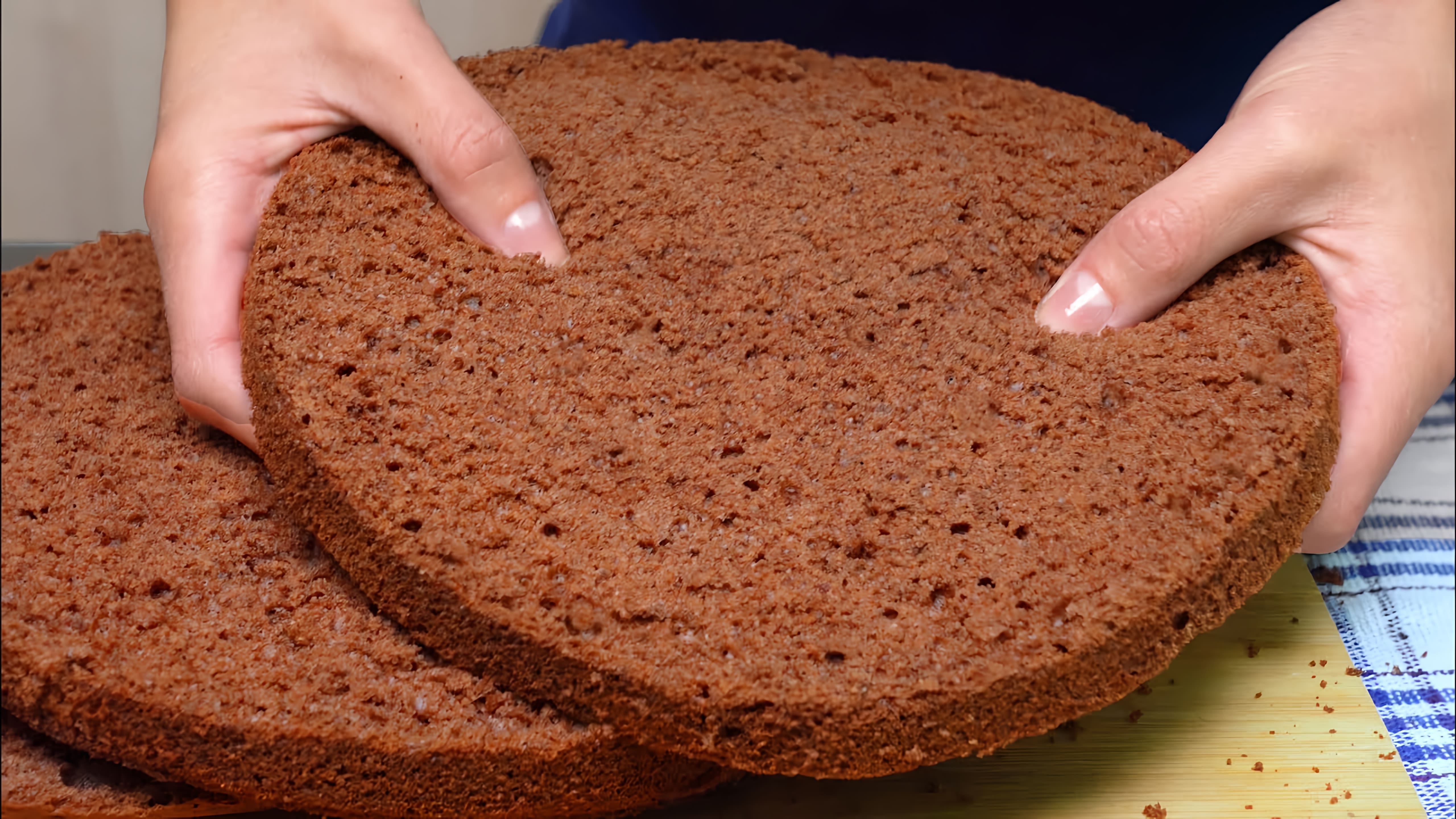 В этом видео Таня показывает, как приготовить пышный шоколадный бисквит для торта