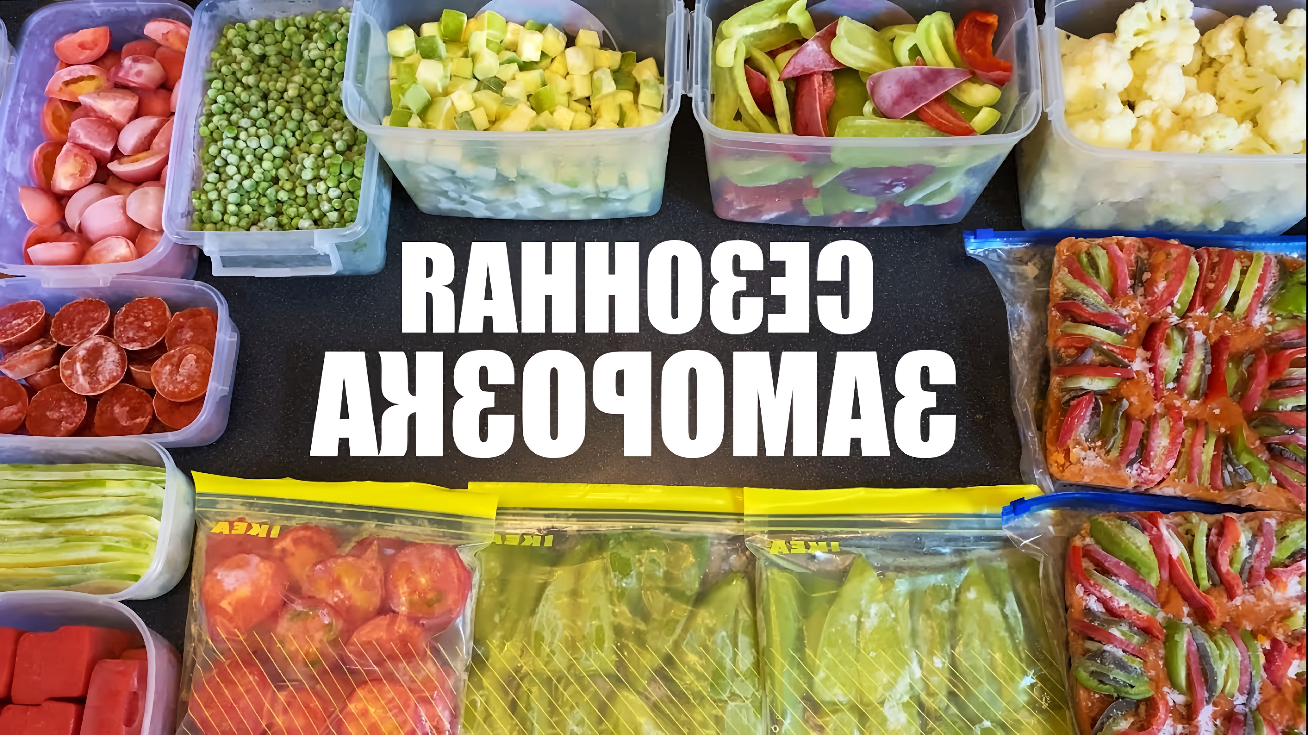 Видео рассматривает методы замораживания различных овощей для зимнего использования, включая болгарский перец, зеленую фасоль, цуккини, капусту, помидоры и рагу из овощей