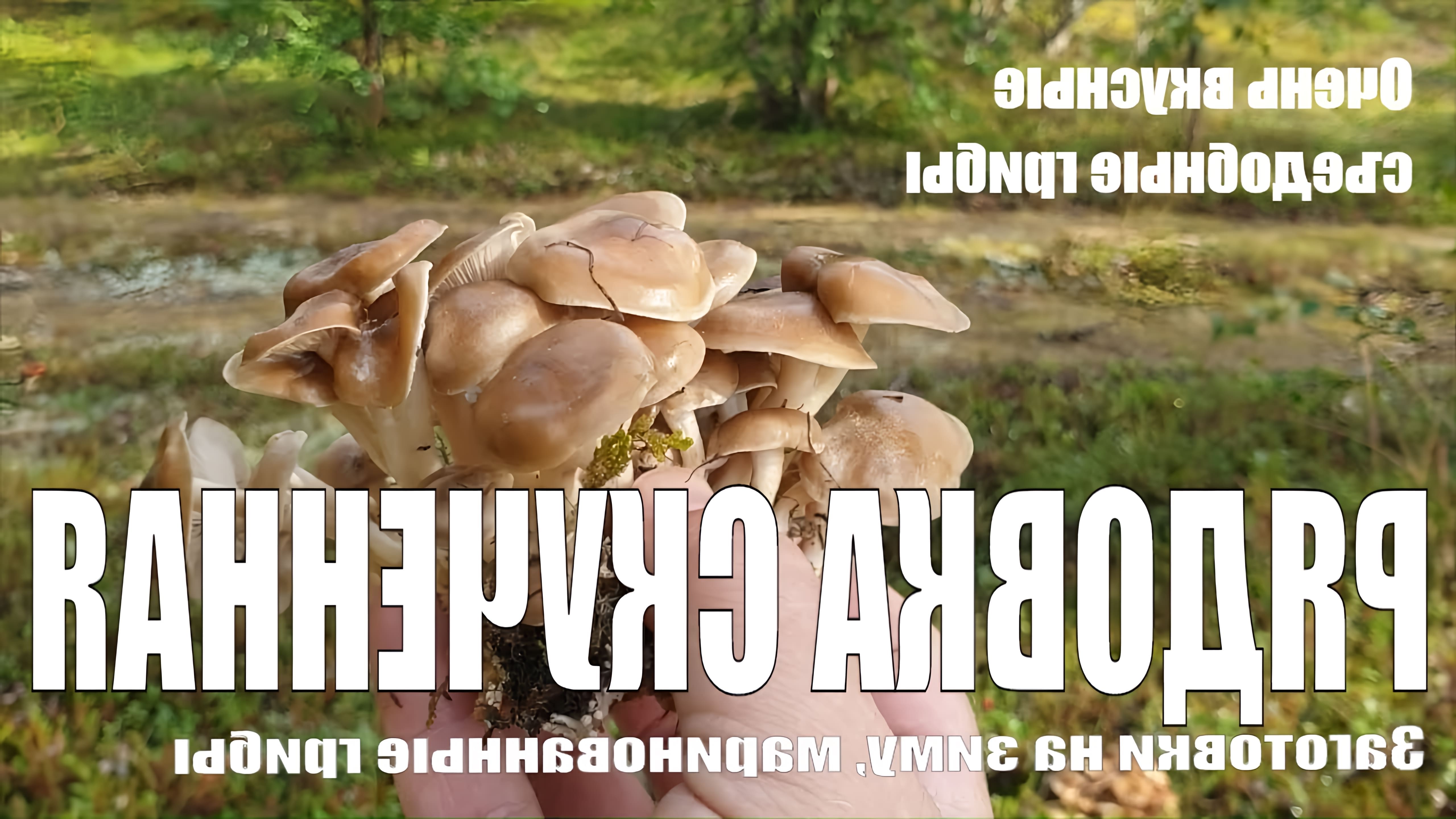 Как приготовить быстро и вкусно вареные грибы? Ответ на этот вопрос гораздо проще, чем кажется. Если из похода за... 