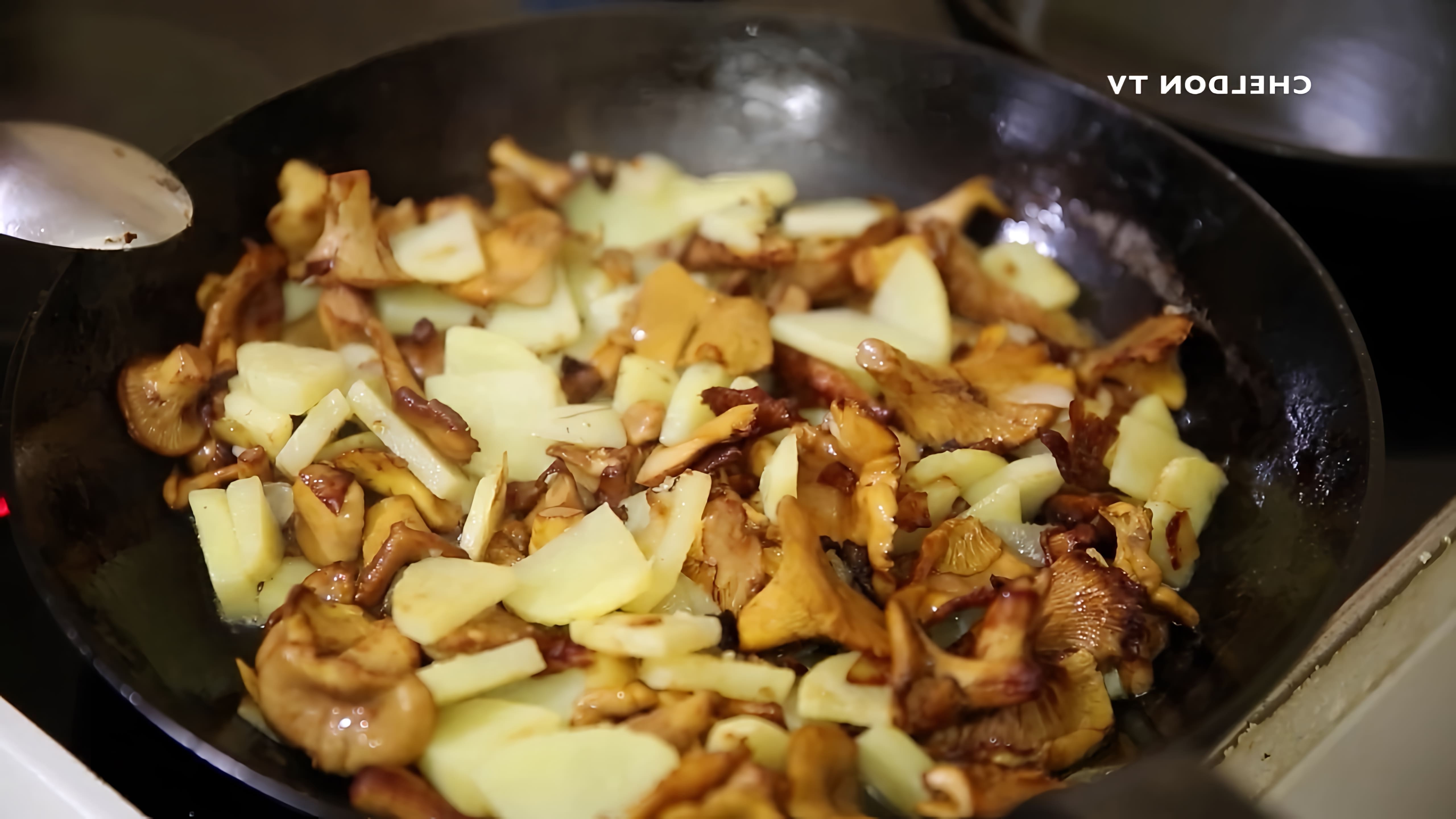 В этом видео показан процесс приготовления грибов лисичек с картошкой в сметане