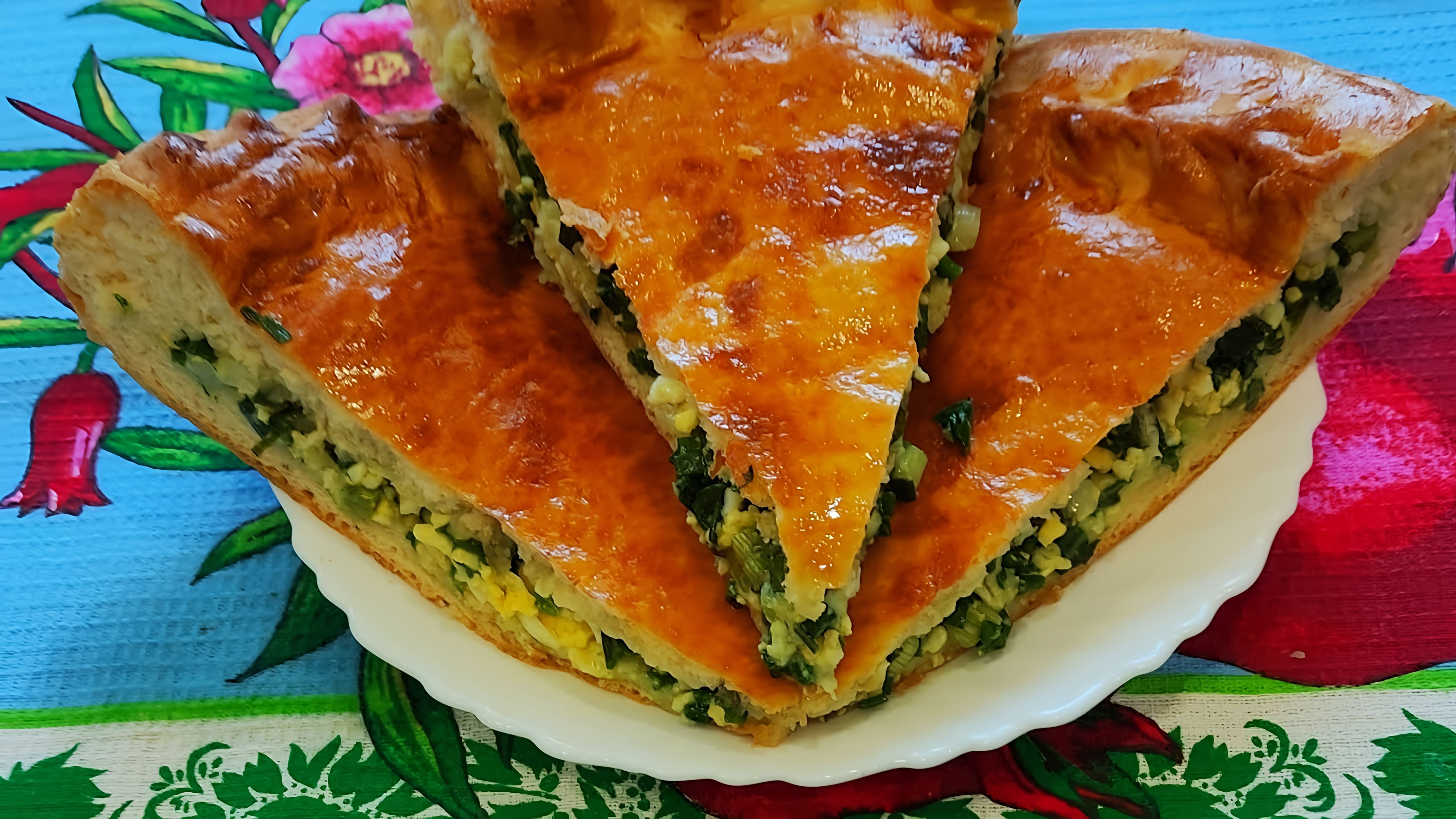 В этом видео демонстрируется процесс приготовления татарского пирога с зеленым луком и яйцом