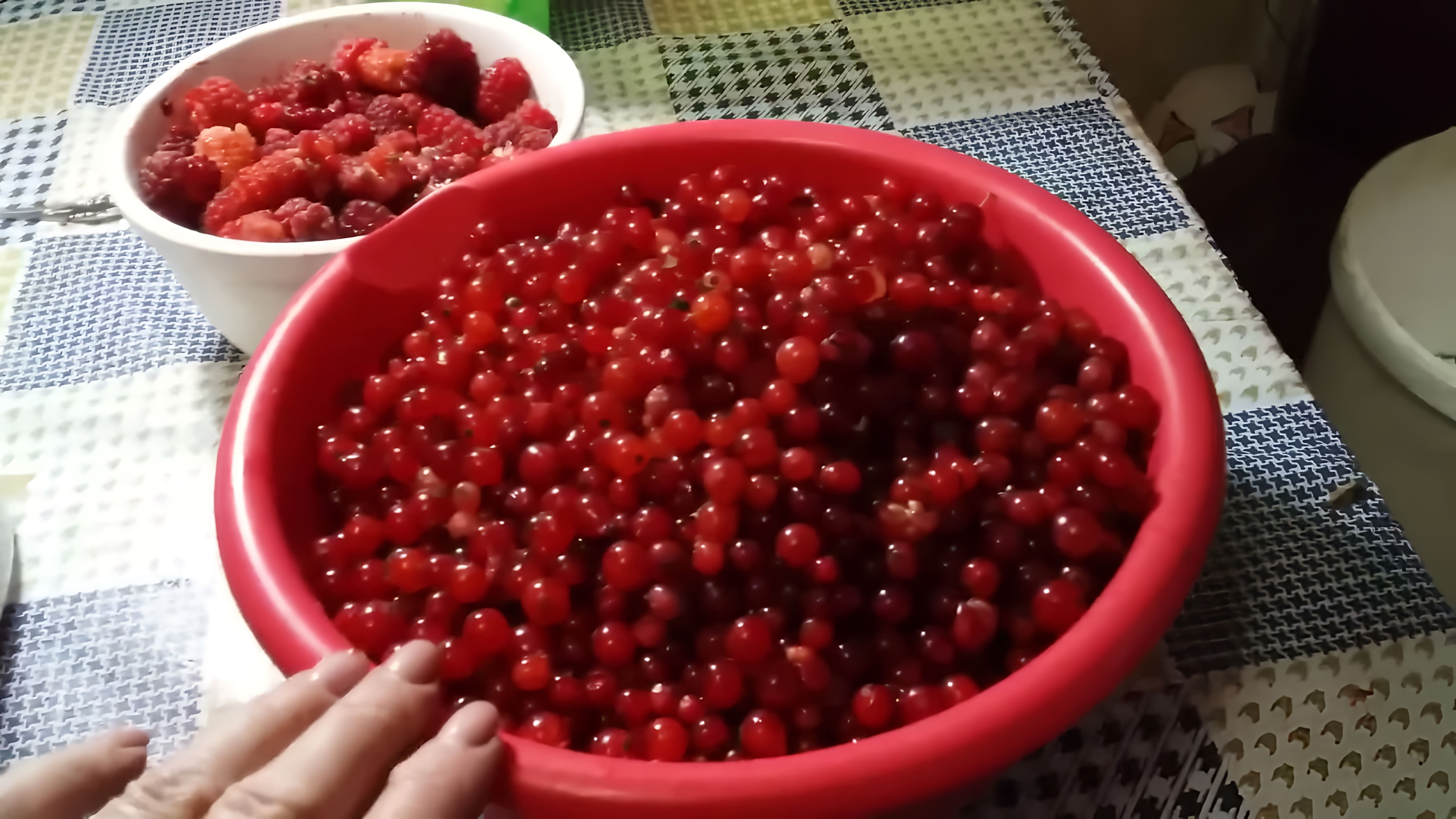 В данном видео демонстрируется процесс заготовки на зиму красной смородины и малины без добавления сахара