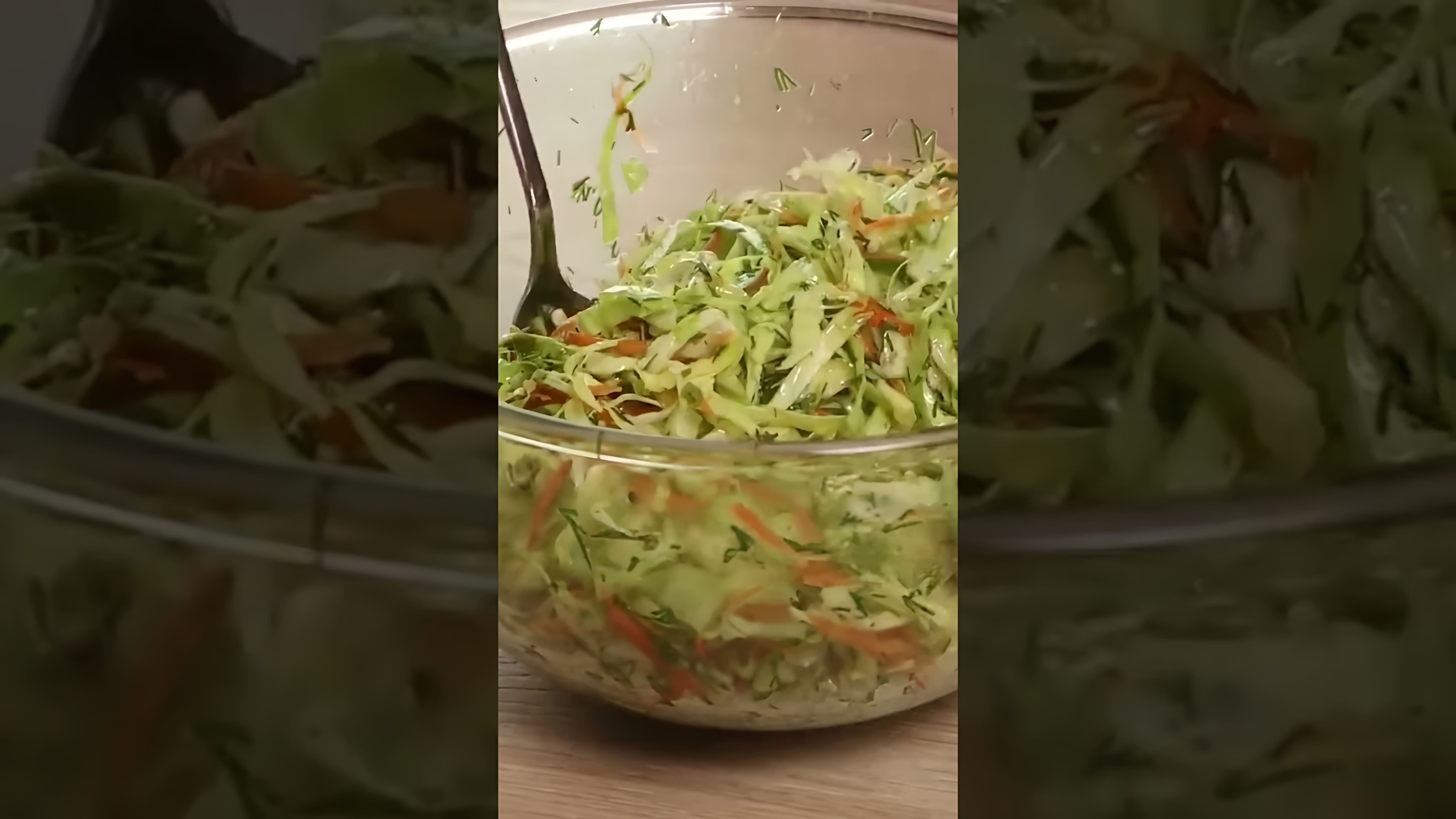 В этом видео-ролике рассказывается о том, как приготовить вкусный салат из капусты