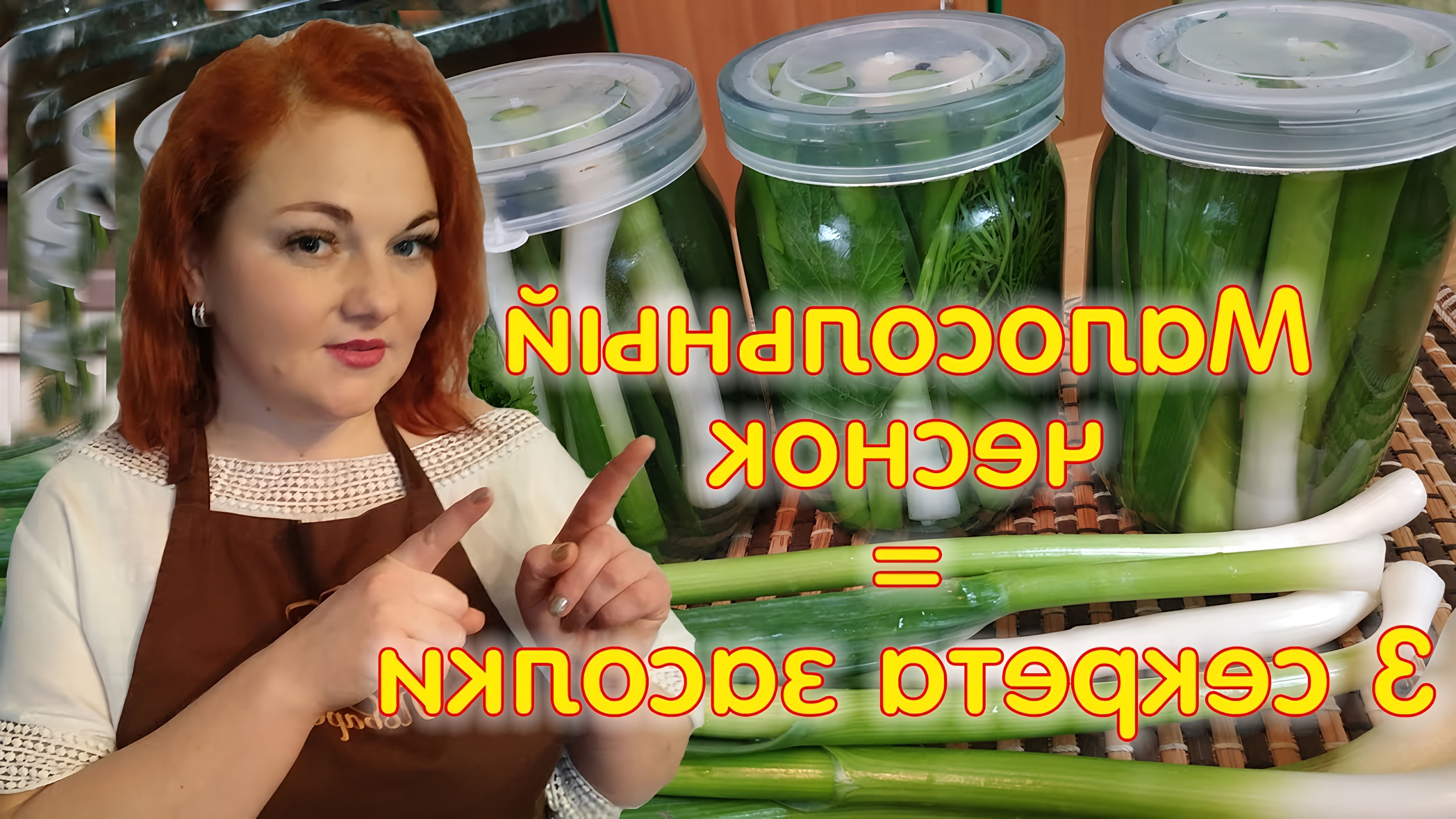 В данном видео Елена, ведущая канала "Твой поваренок", рассказывает о том, как заготавливать молодой чеснок на зиму