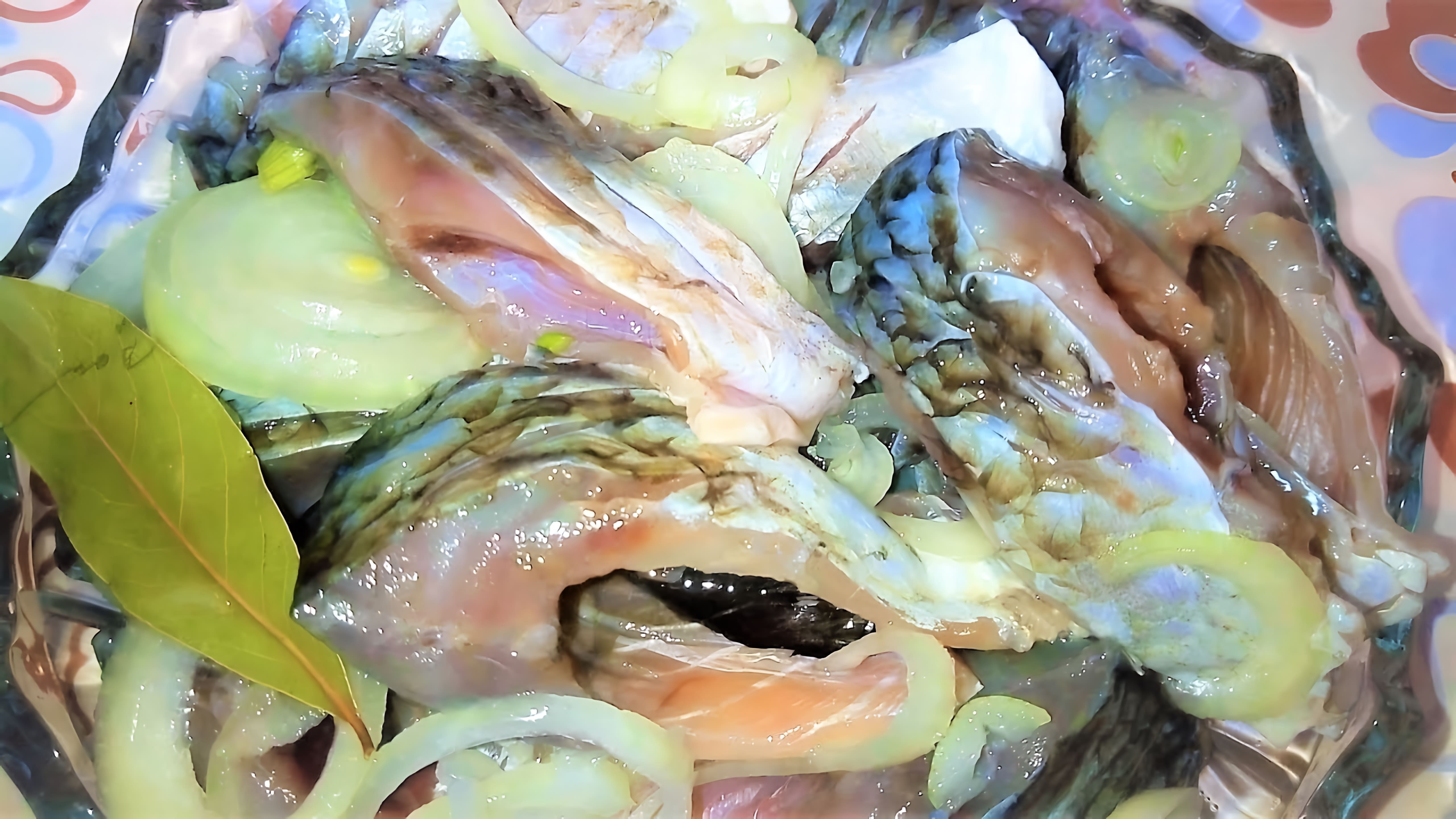 В этом видео демонстрируется процесс приготовления саламура из карася