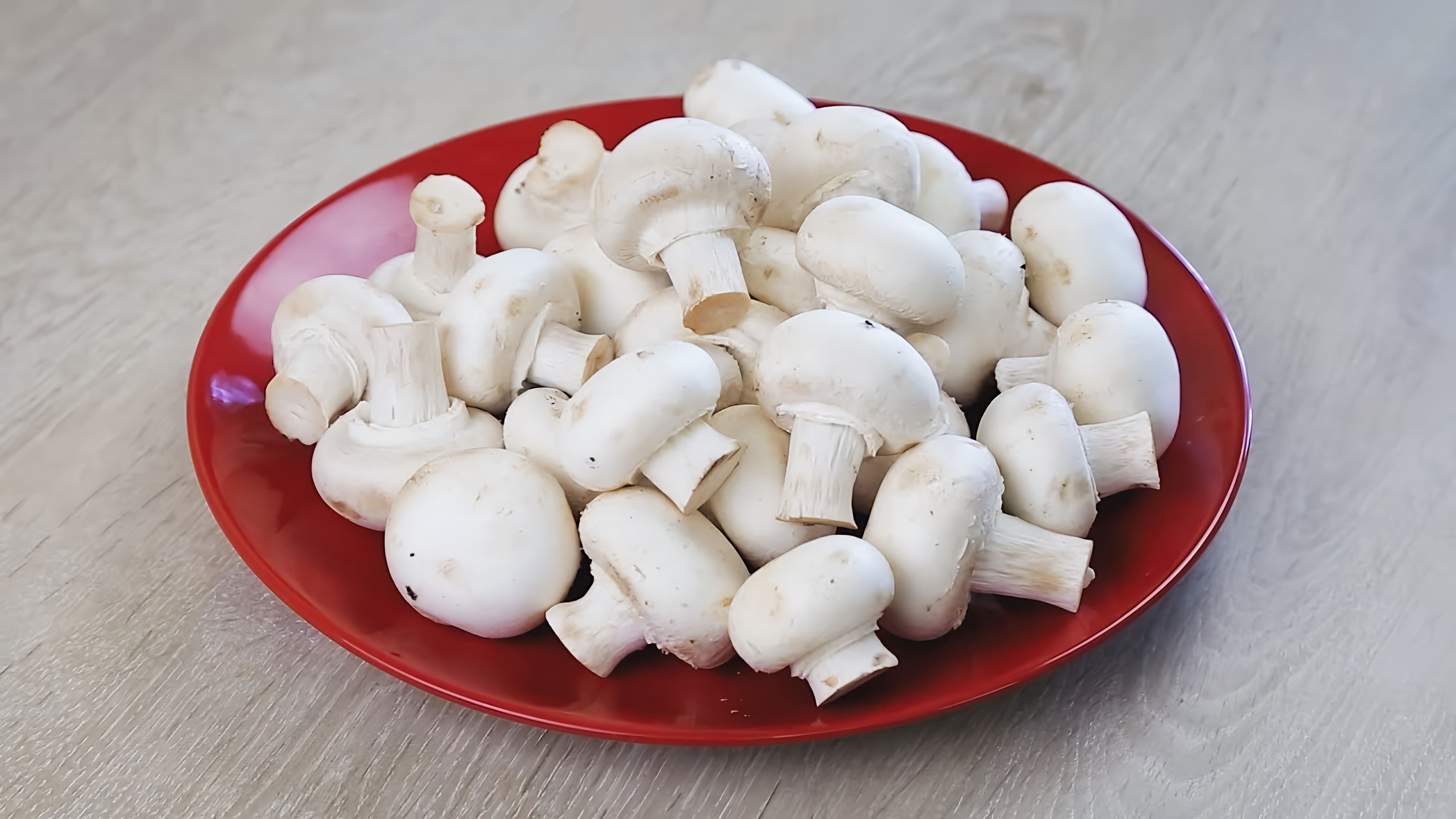 - Представлены пять рецептов с грибами: маринованные грибы, пирог с грибами и картофелем, фаршированные грибы (зразы), котлеты из грибов и овощей, и грибной суп
