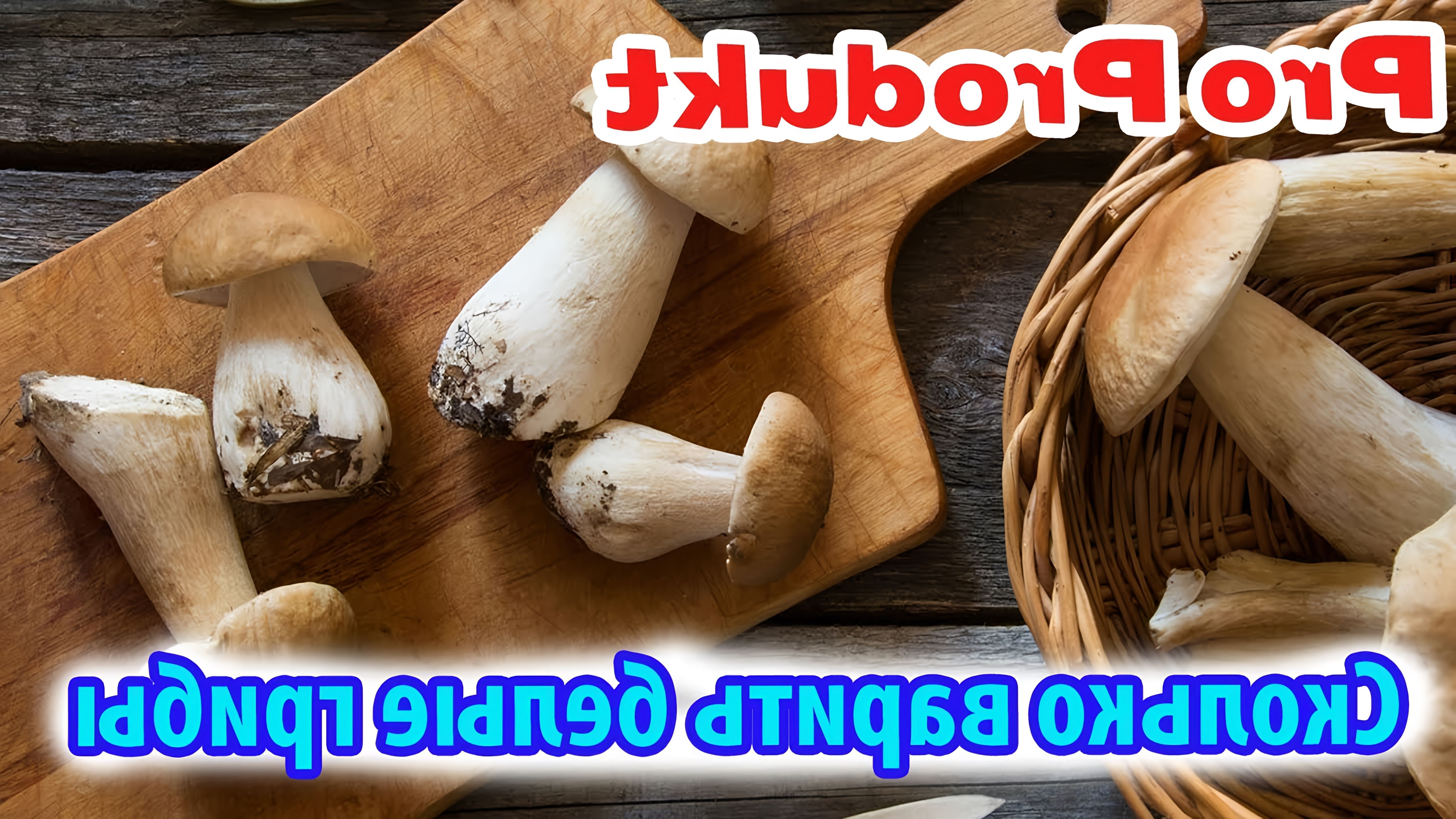 Белые грибы - это питательные и вкусные грибы, которые часто используются в кулинарии