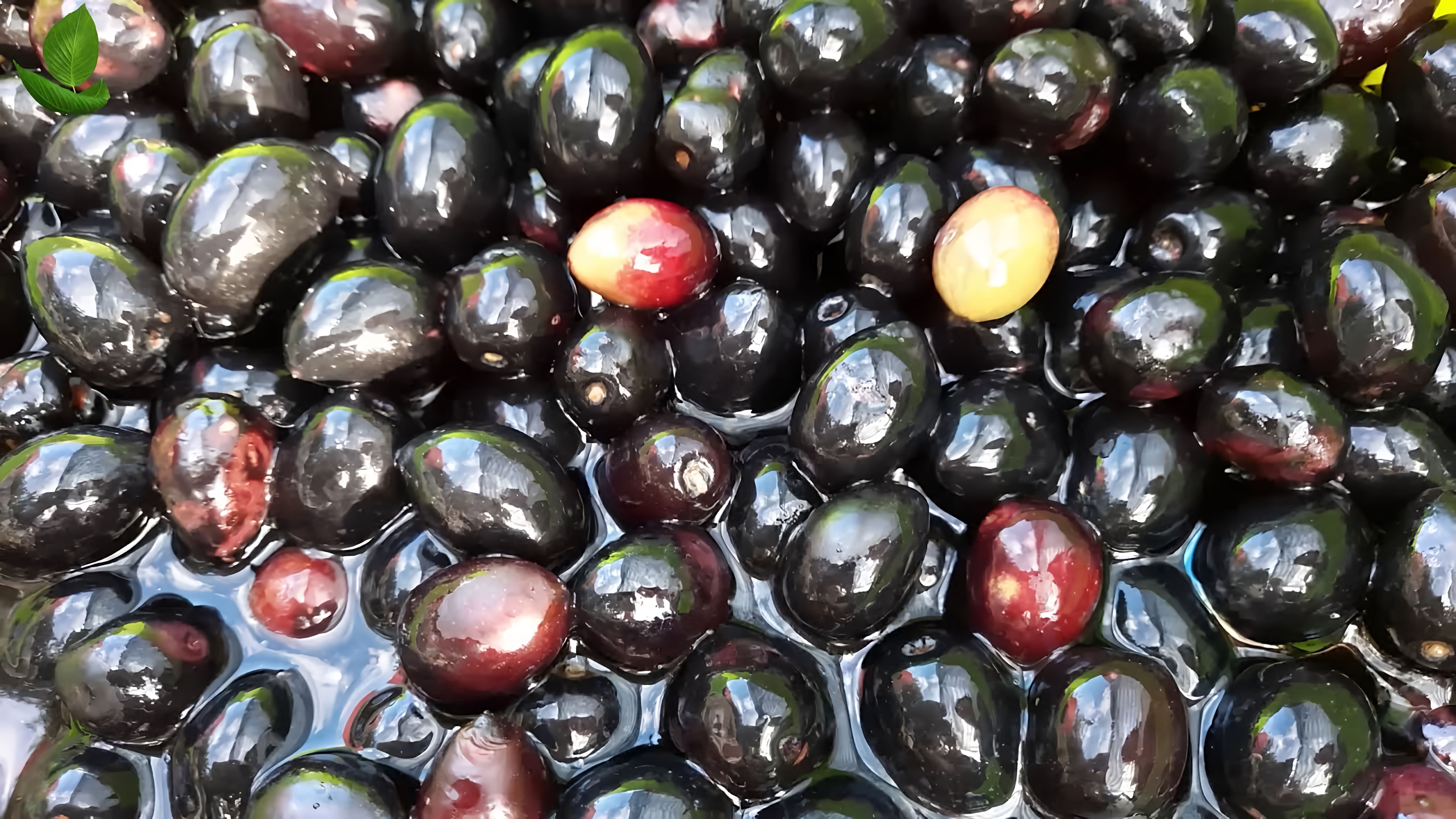 В этом видео рассказывается о португальских оливках и их засолке