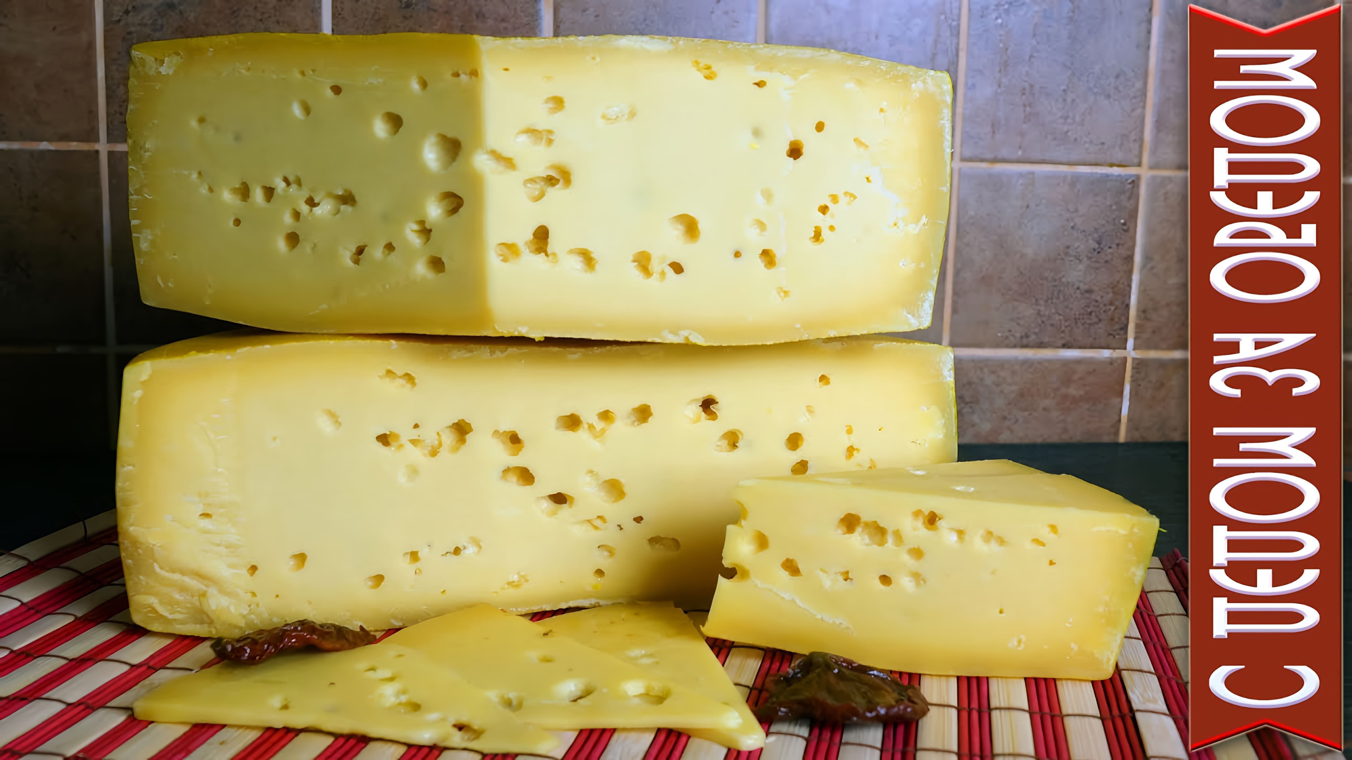 В данном видео демонстрируется процесс приготовления норвежского сыра Ярлсберг