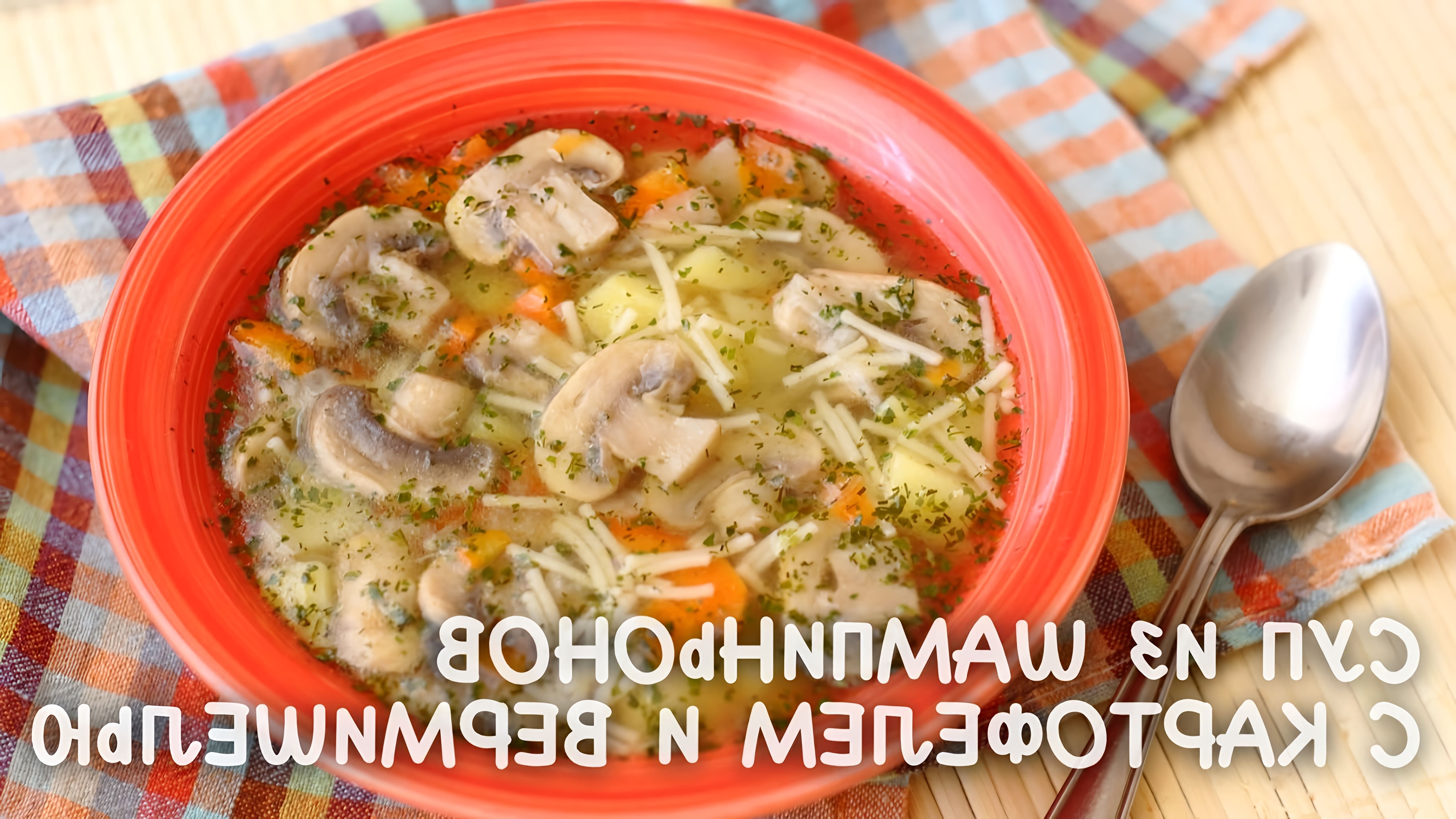 В этом видео-ролике вы увидите, как приготовить вкусный и сытный суп из шампиньонов с картофелем и вермишелью