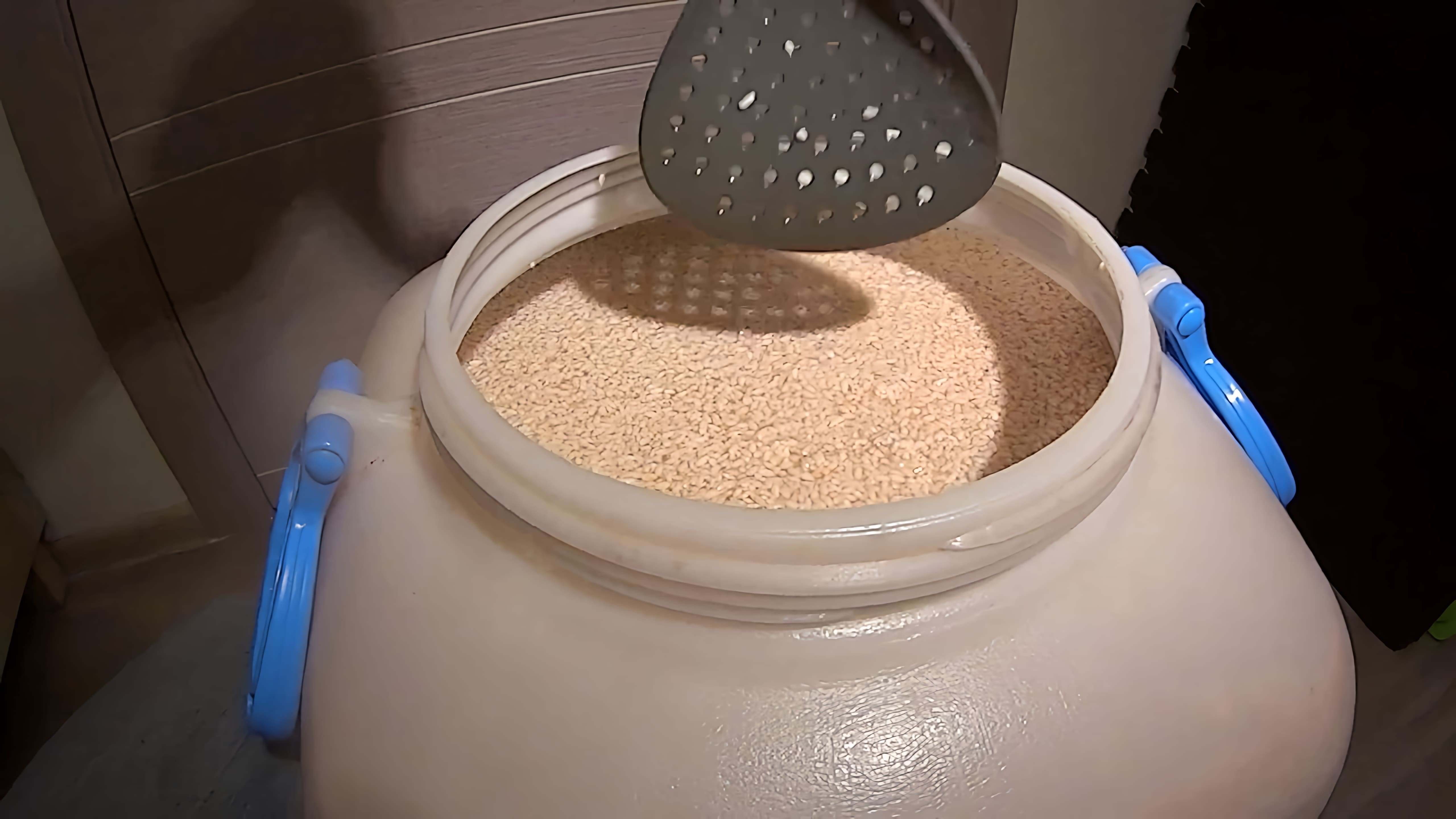 В данном видео демонстрируется процесс приготовления рисовой браги на кодзи