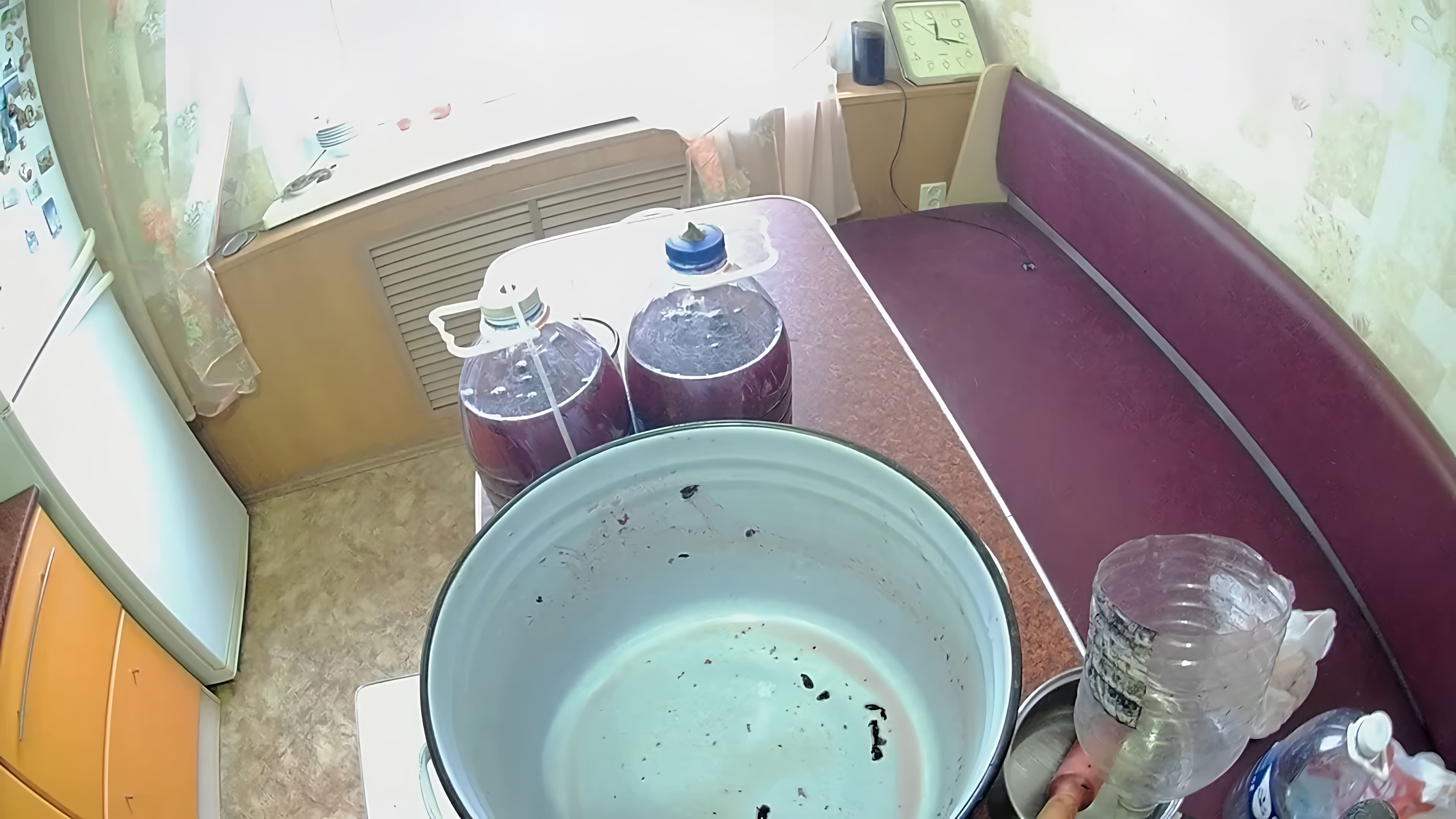 В данном видео демонстрируется процесс приготовления домашнего вина из крыжовника и черной смородины
