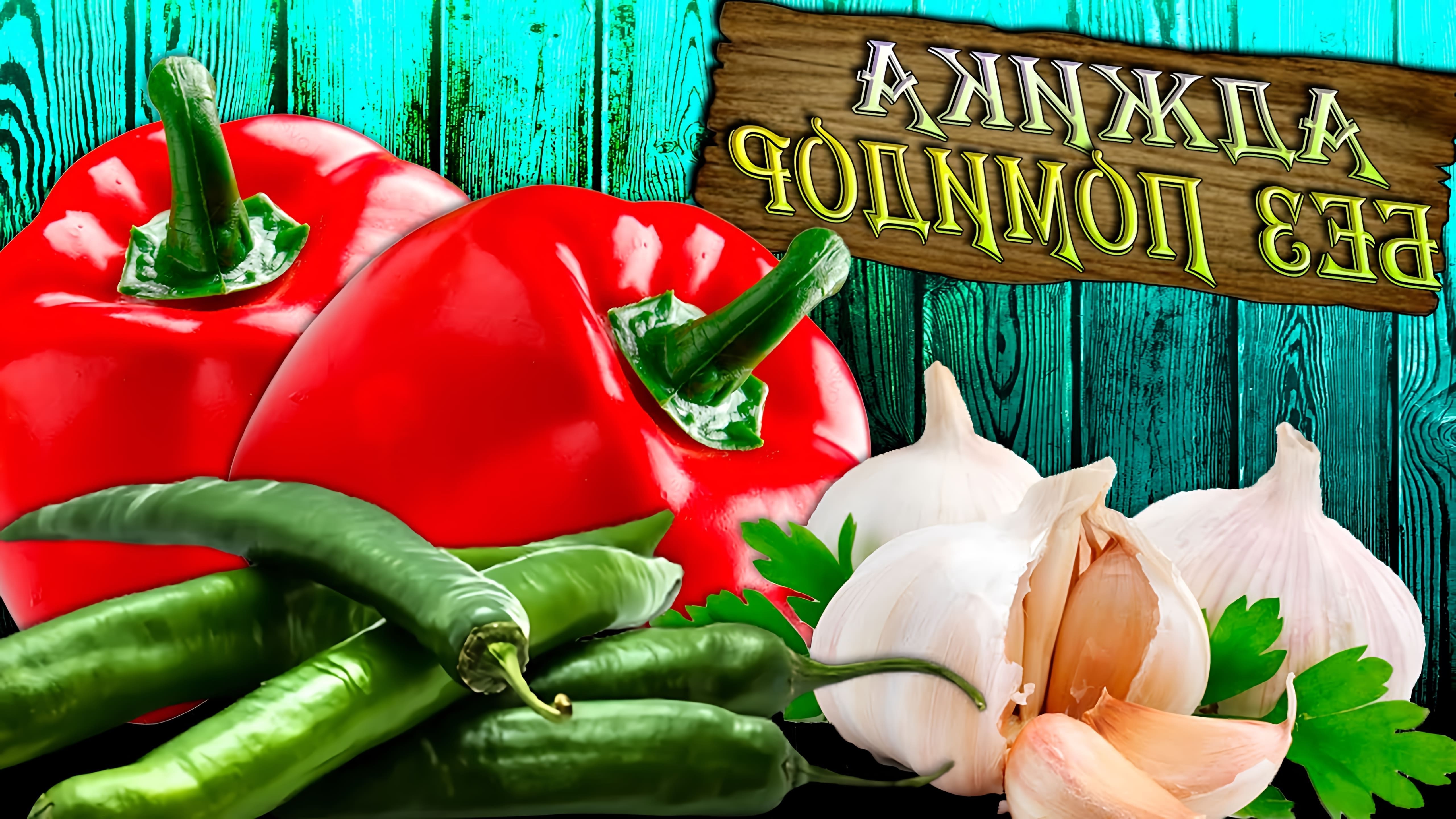 В этом видео Алина делится рецептом приготовления вкусной и ароматной аджики из болгарского перца без добавления помидоров