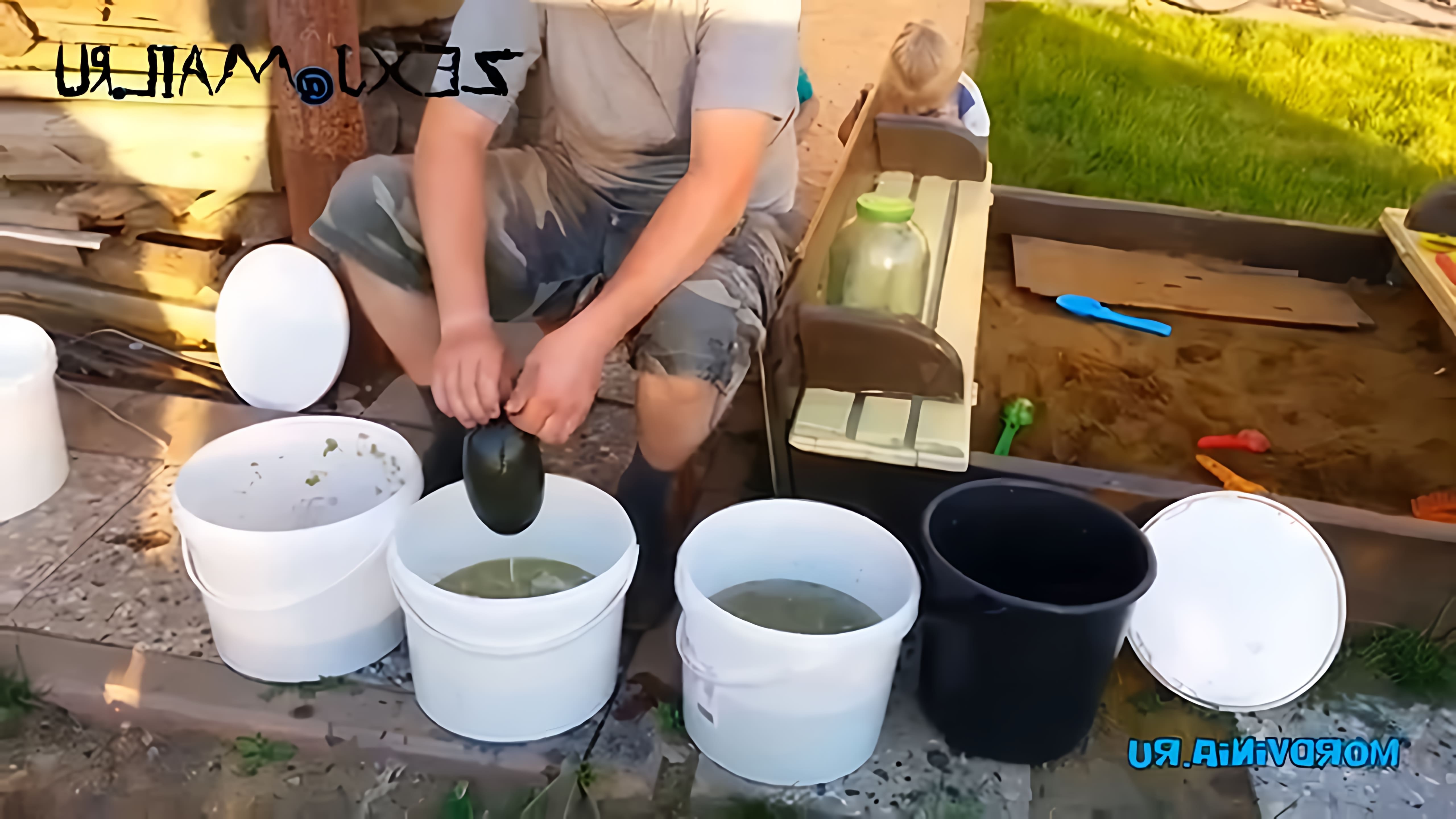 В этом видео-ролике рассказывается о том, как приготовить домашнее вино из зеленого крыжовника
