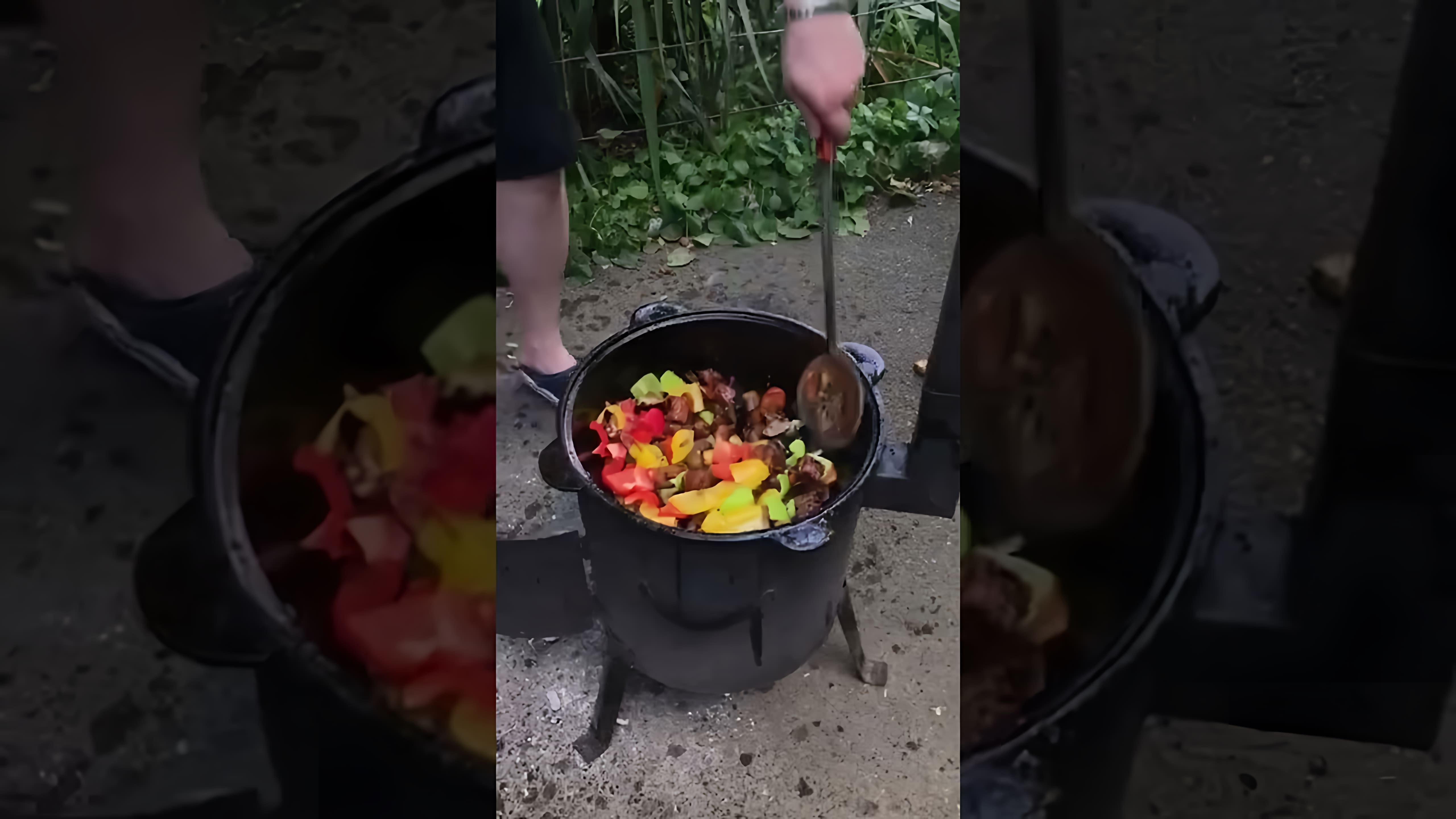 В этом видео-ролике показан процесс приготовления овощного рагу в казане на костре
