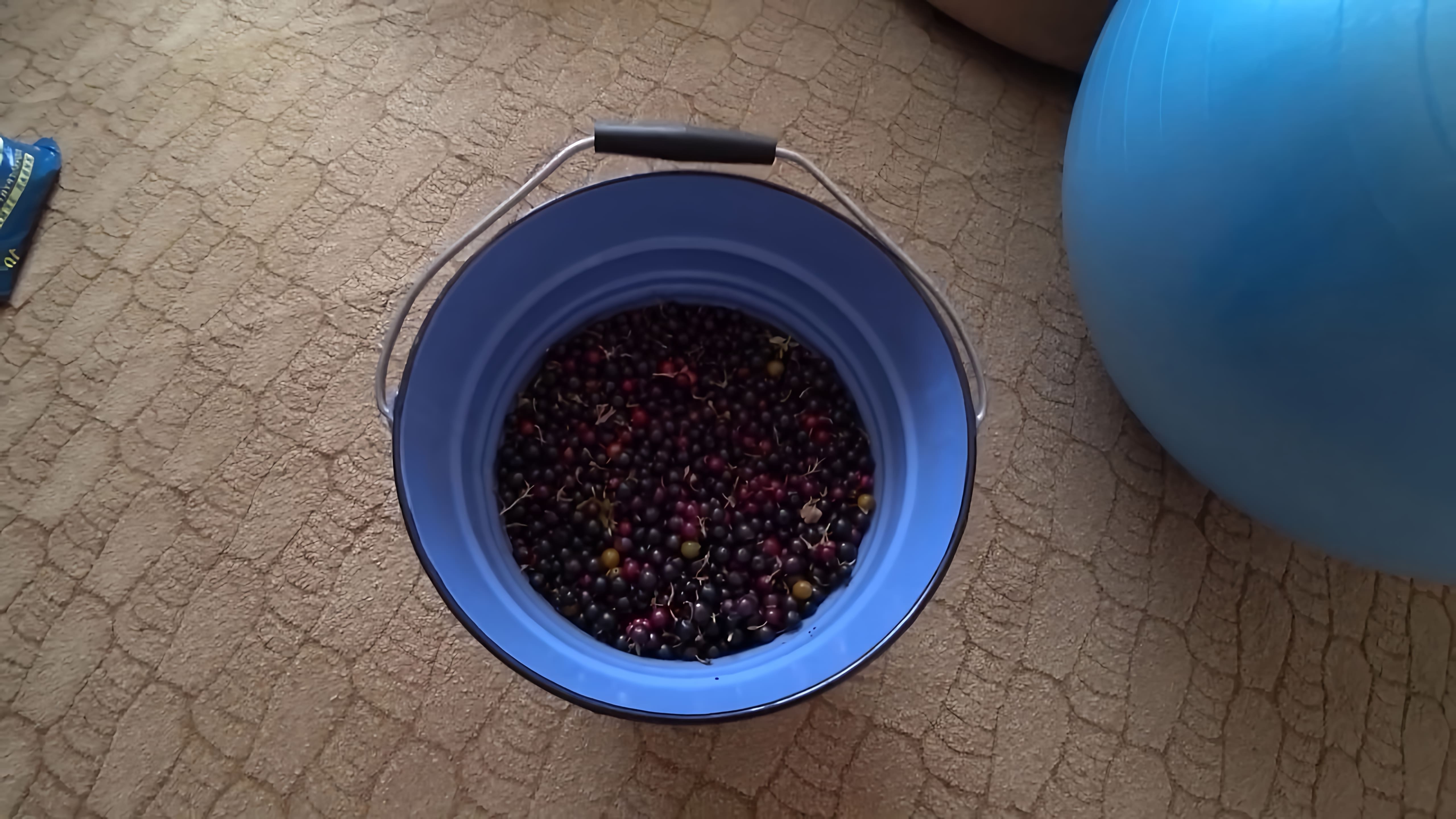 В этом видео демонстрируется процесс приготовления вина из реписа