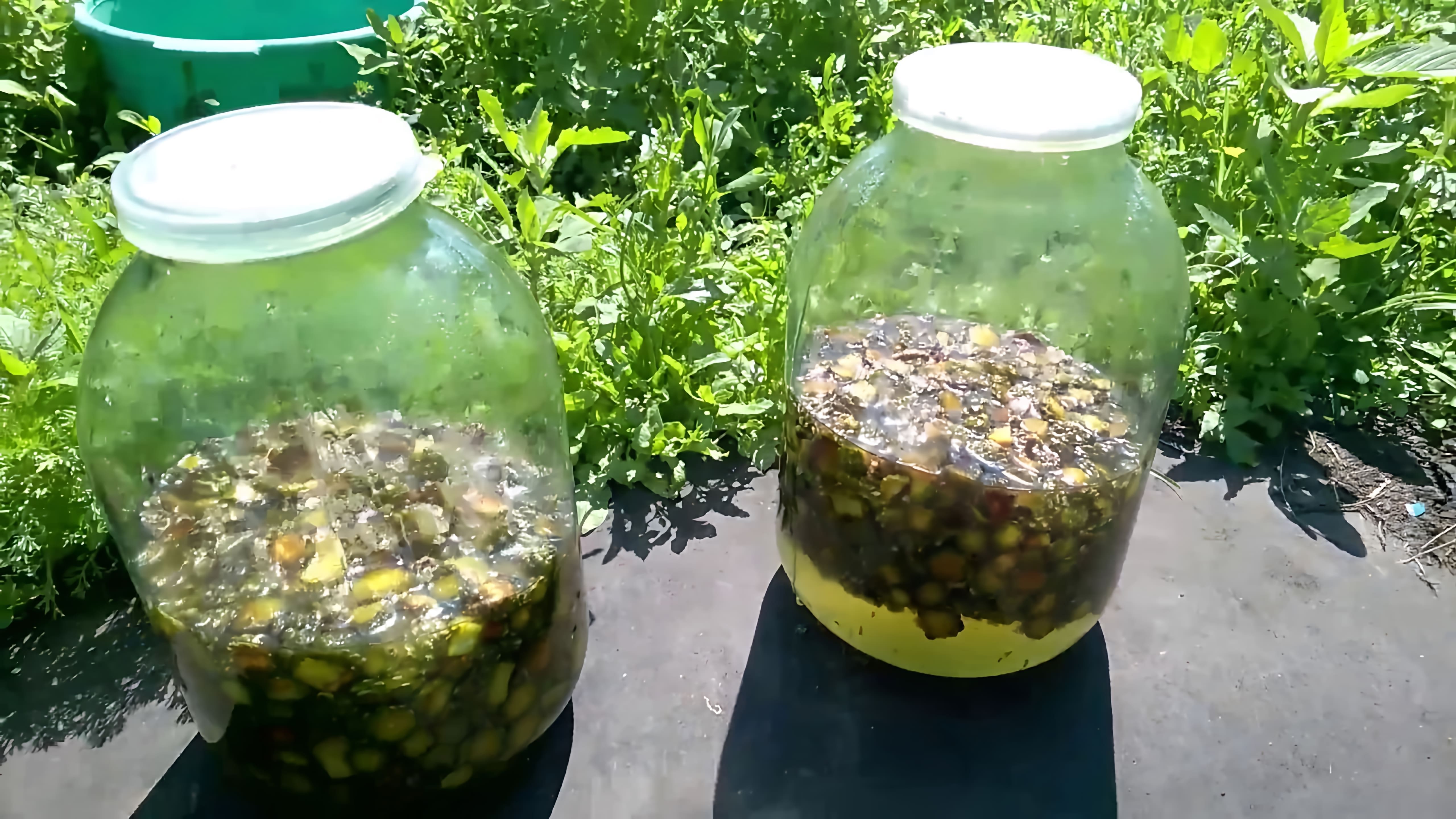 В этом видео рассказывается о том, как приготовить сироп из сосновых шишек