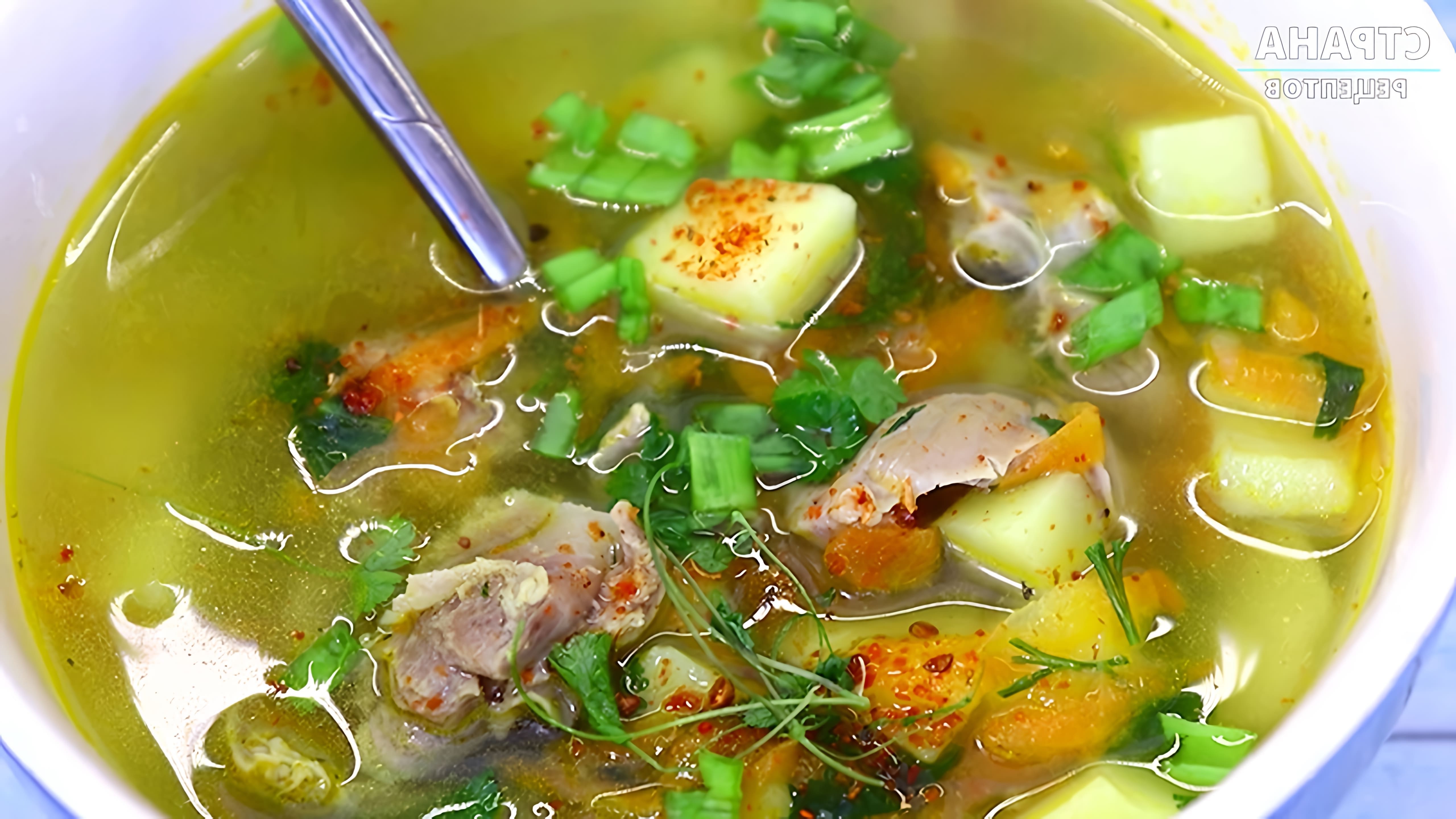 В этом видео демонстрируется процесс приготовления простого и вкусного супа из куриных желудков