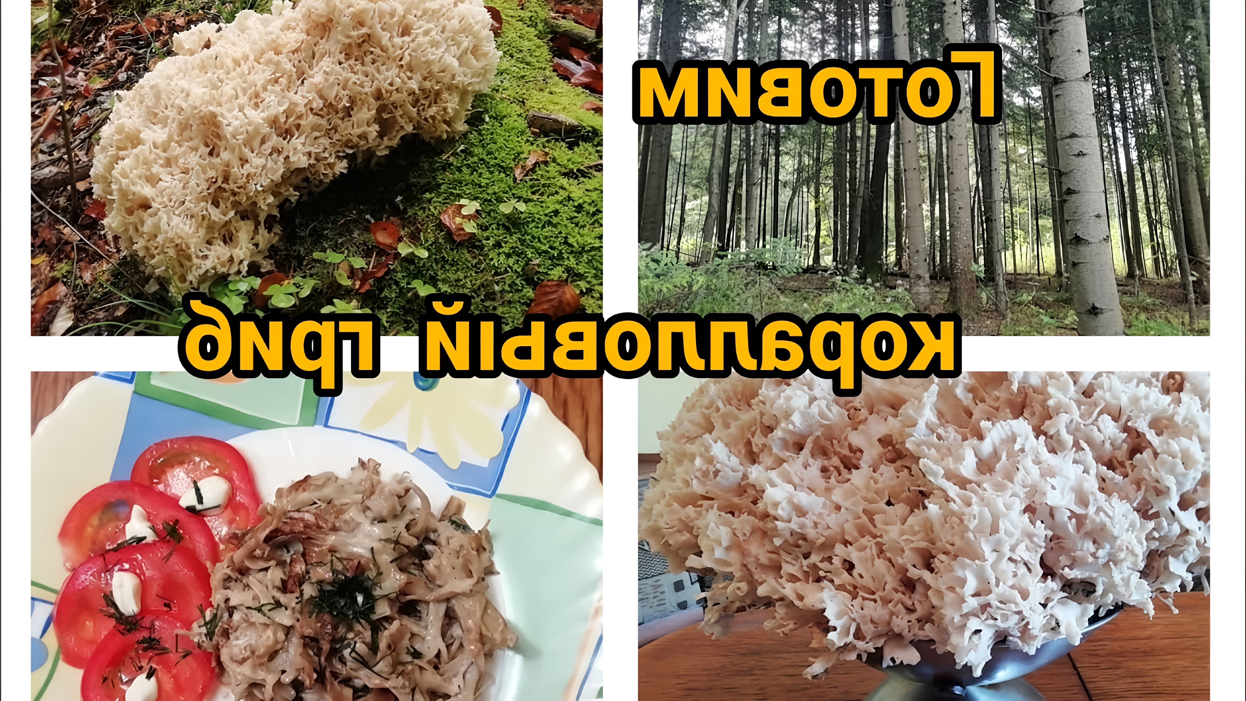 В этом видео автор готовит коралловый гриб, который также известен как оленьи рожки или коралловый гриб