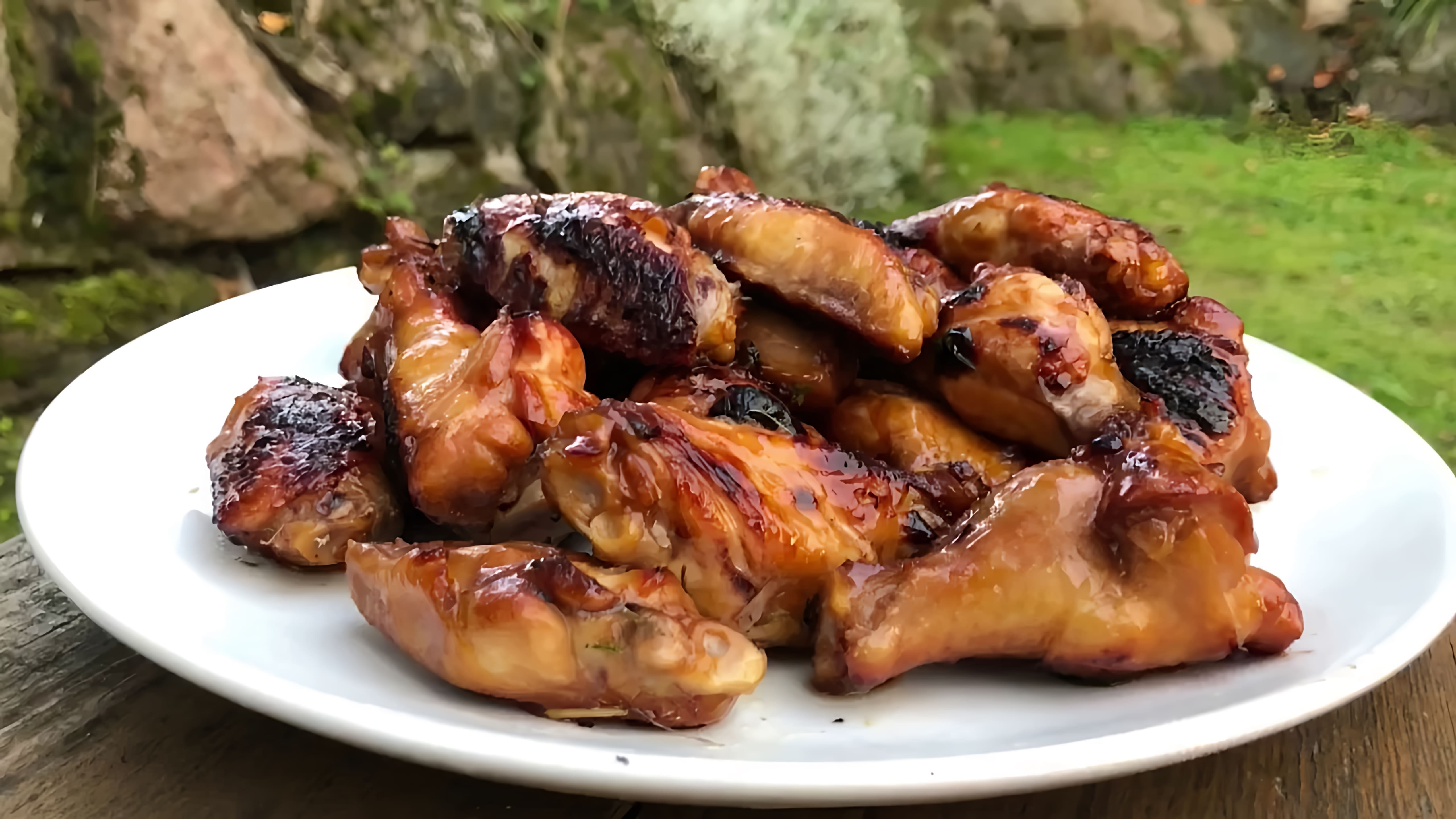 В этом видео демонстрируется процесс приготовления куриных крылышек на мангале в медово-соевом соусе