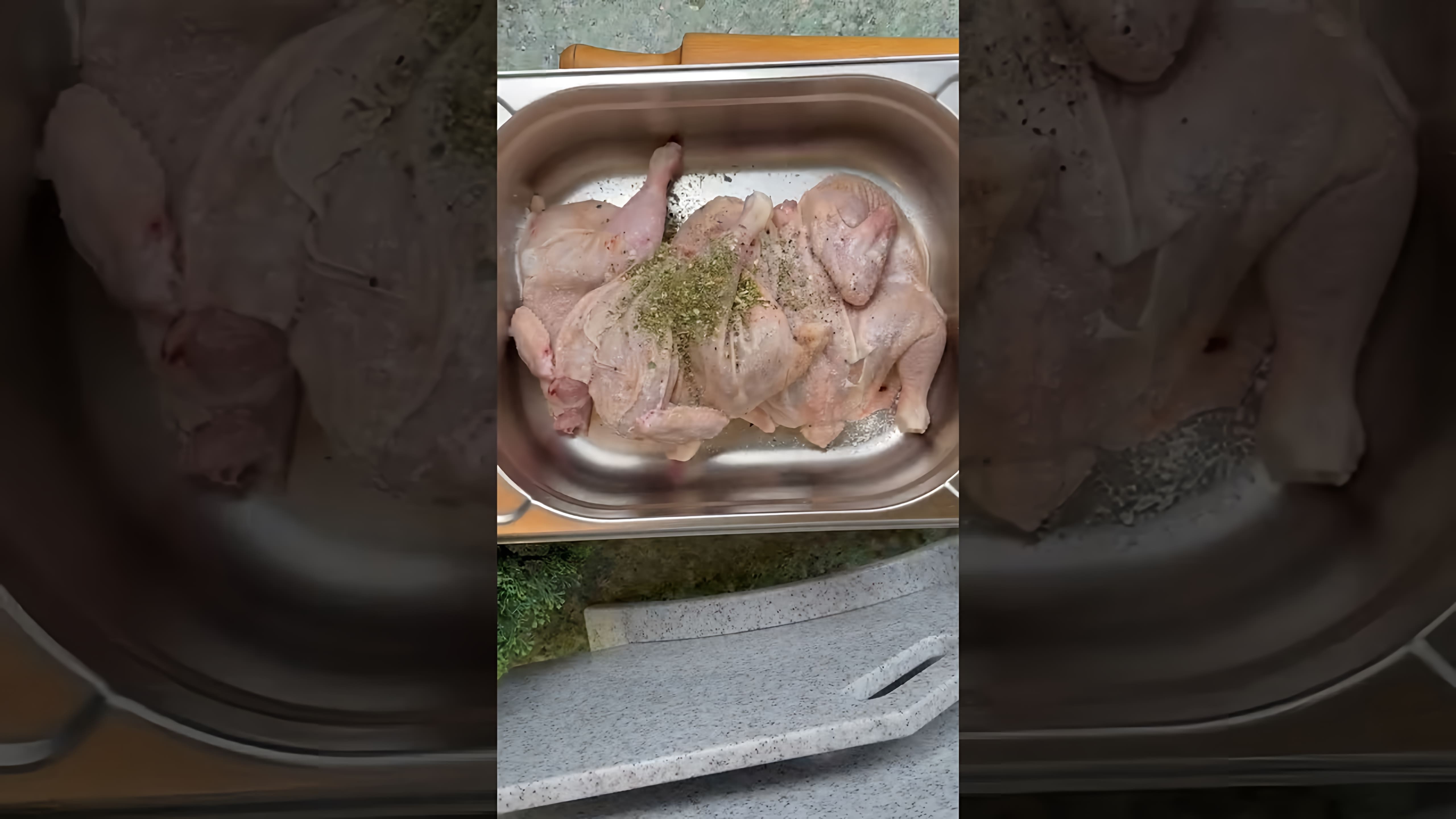 В данном видео демонстрируется процесс приготовления цыпленка Тапака на электрогриле