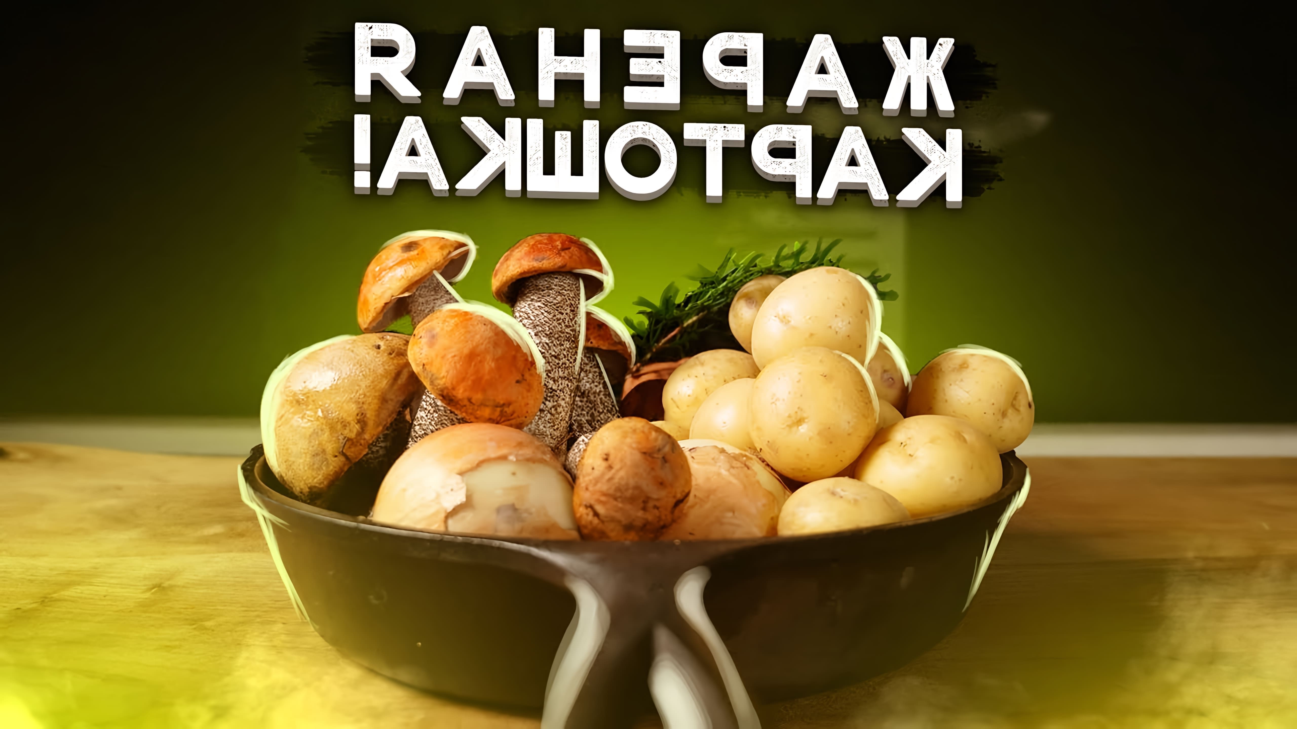 В данном видео демонстрируется рецепт приготовления жареной картошки с лесными грибами и сметаной