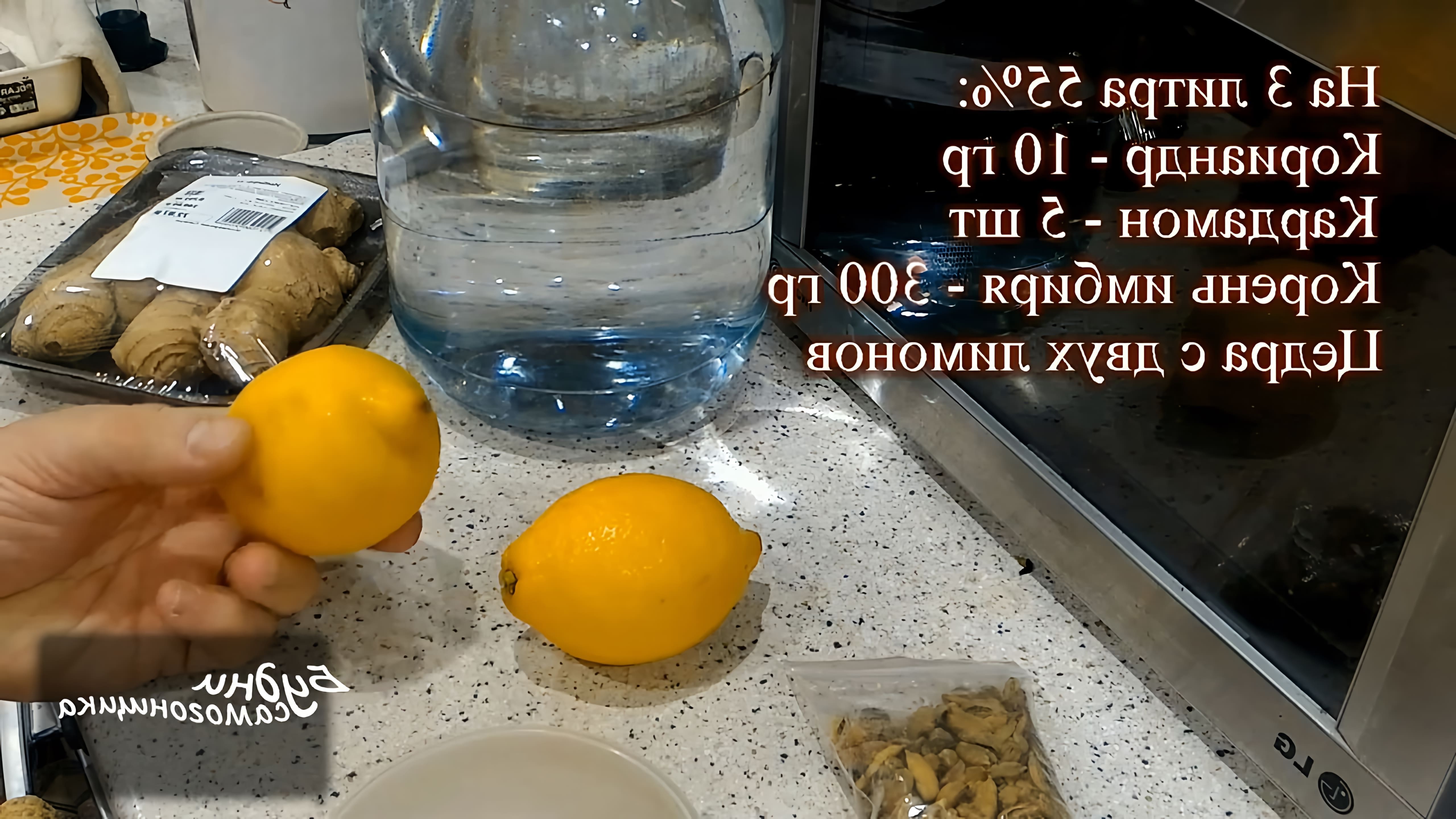 В данном видео демонстрируется процесс изготовления имбирной настойки по рецепту Александра Панфилова