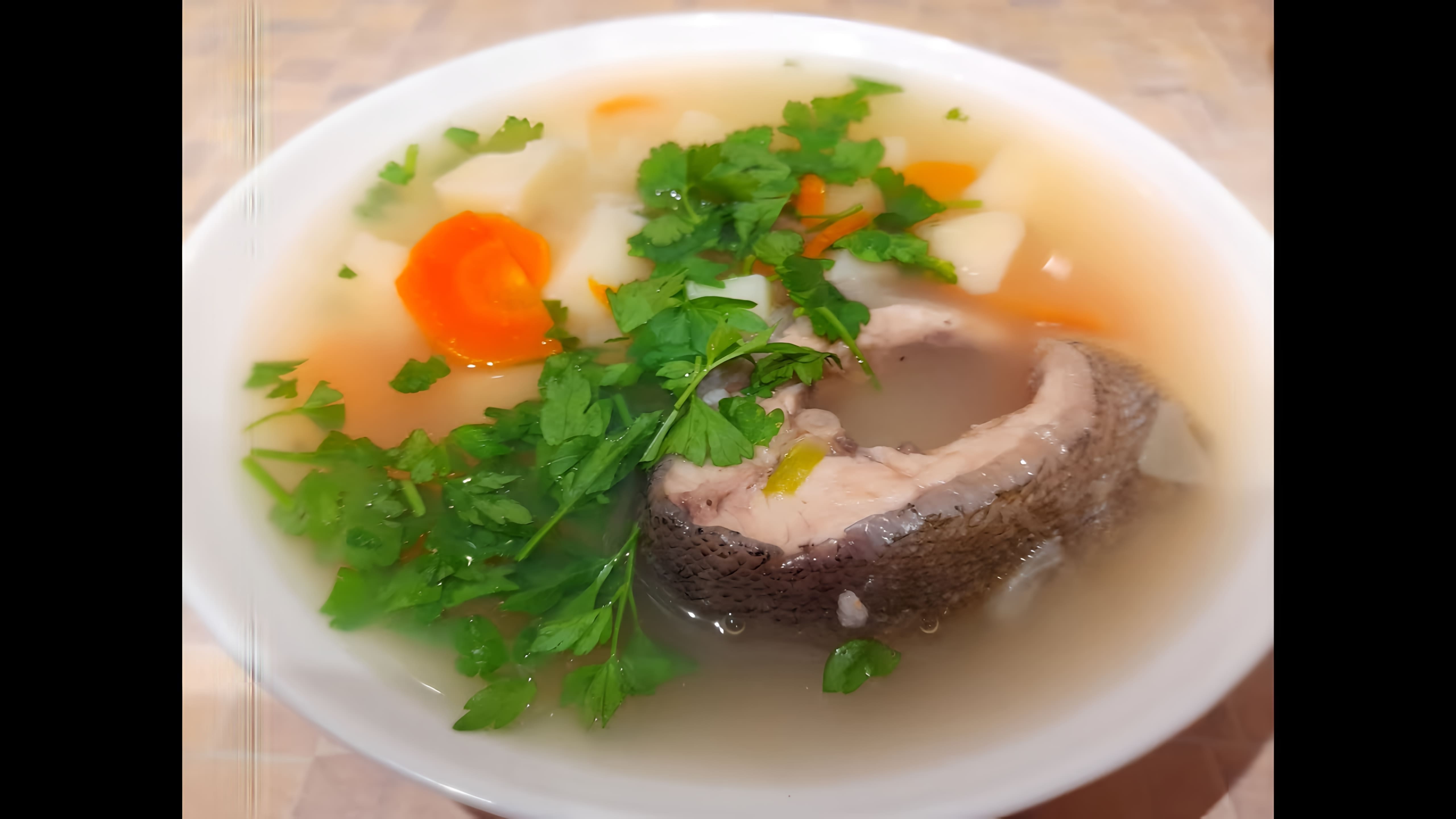 В этом видео-ролике вы увидите, как приготовить простую и очень вкусную уху из линя по-домашнему или рыбный суп