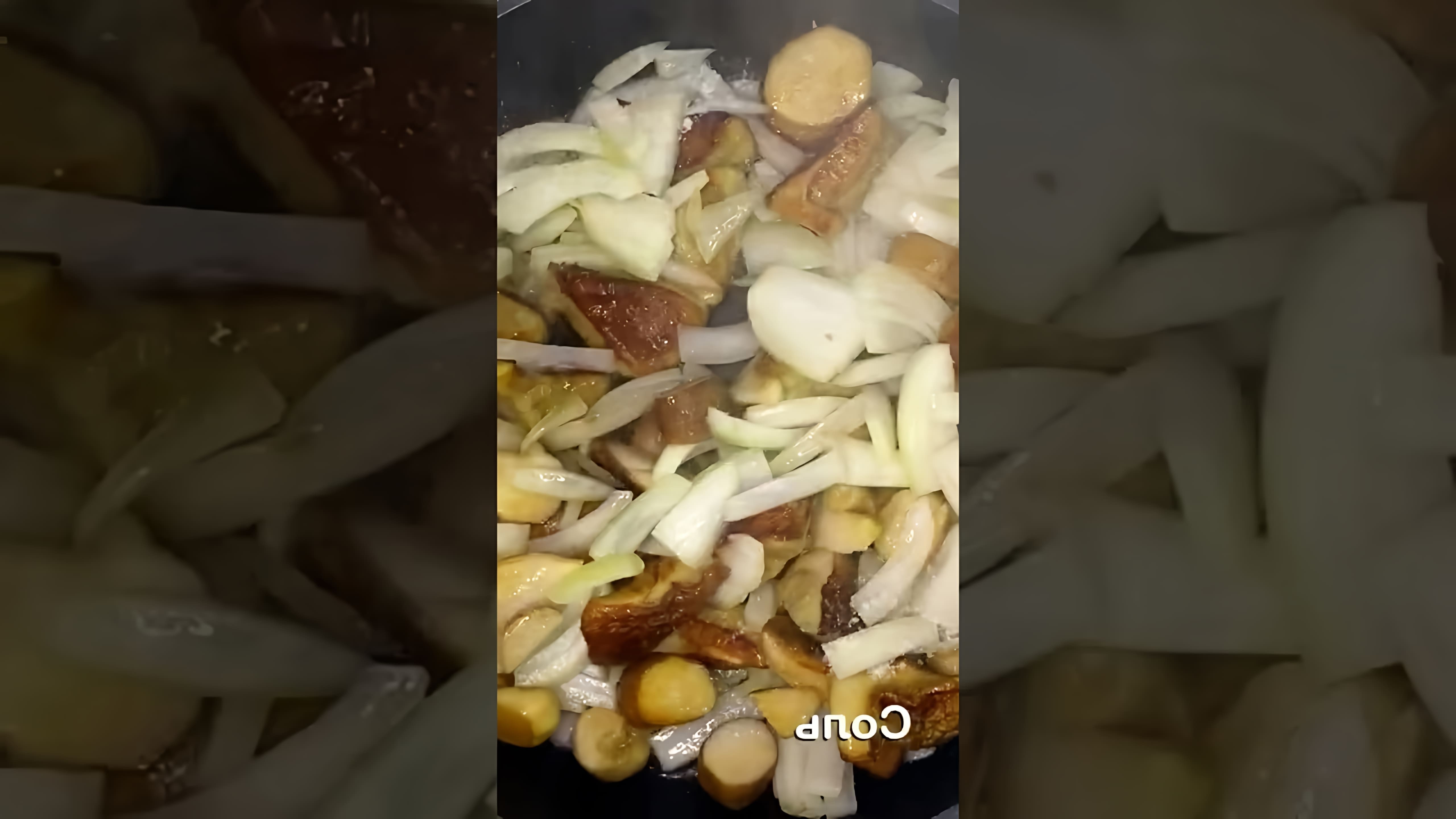 В этом видео-ролике демонстрируется процесс приготовления жареных белых грибов в сметане