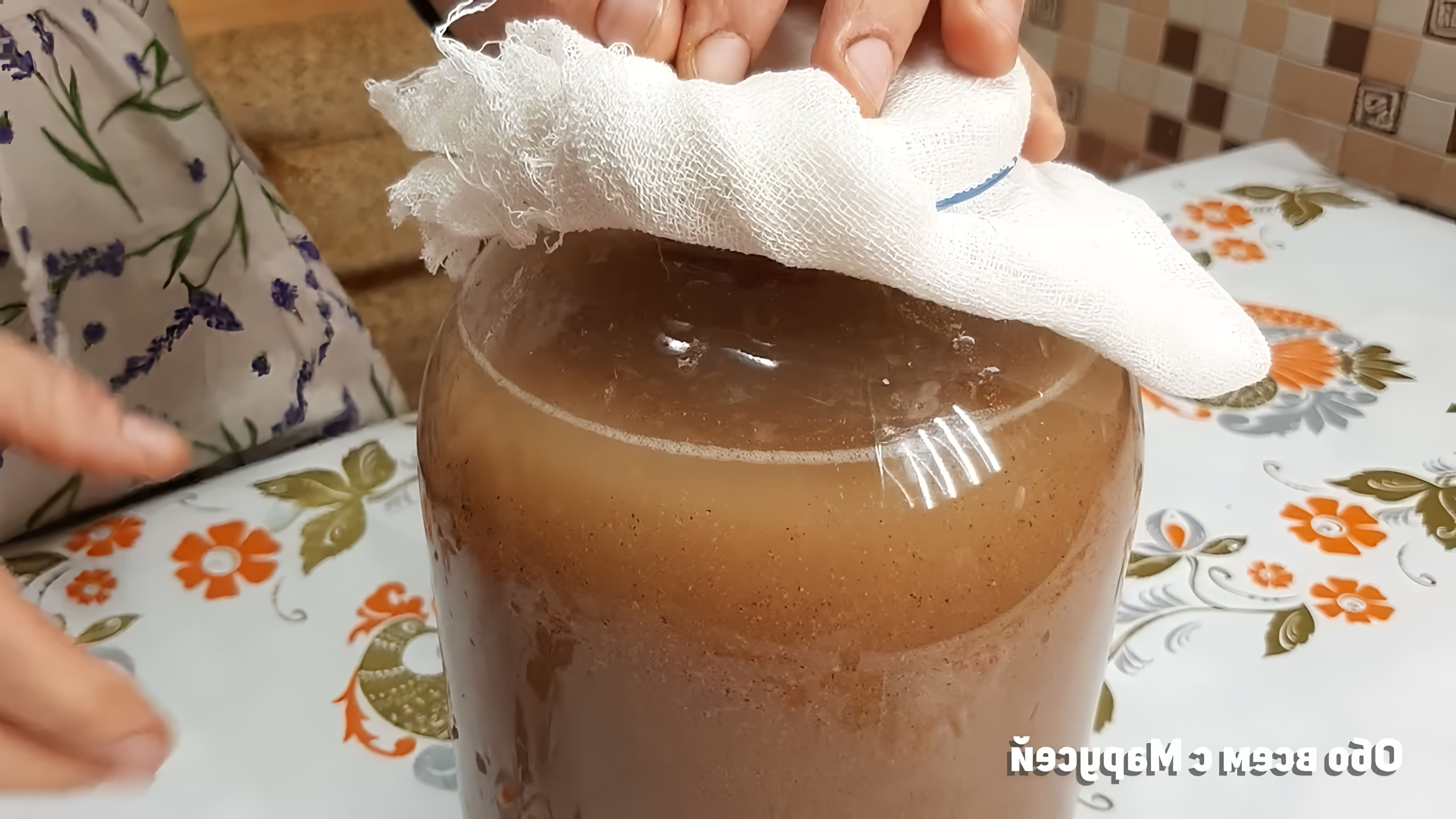 В этом видео демонстрируется процесс приготовления кваса из ржаной муки