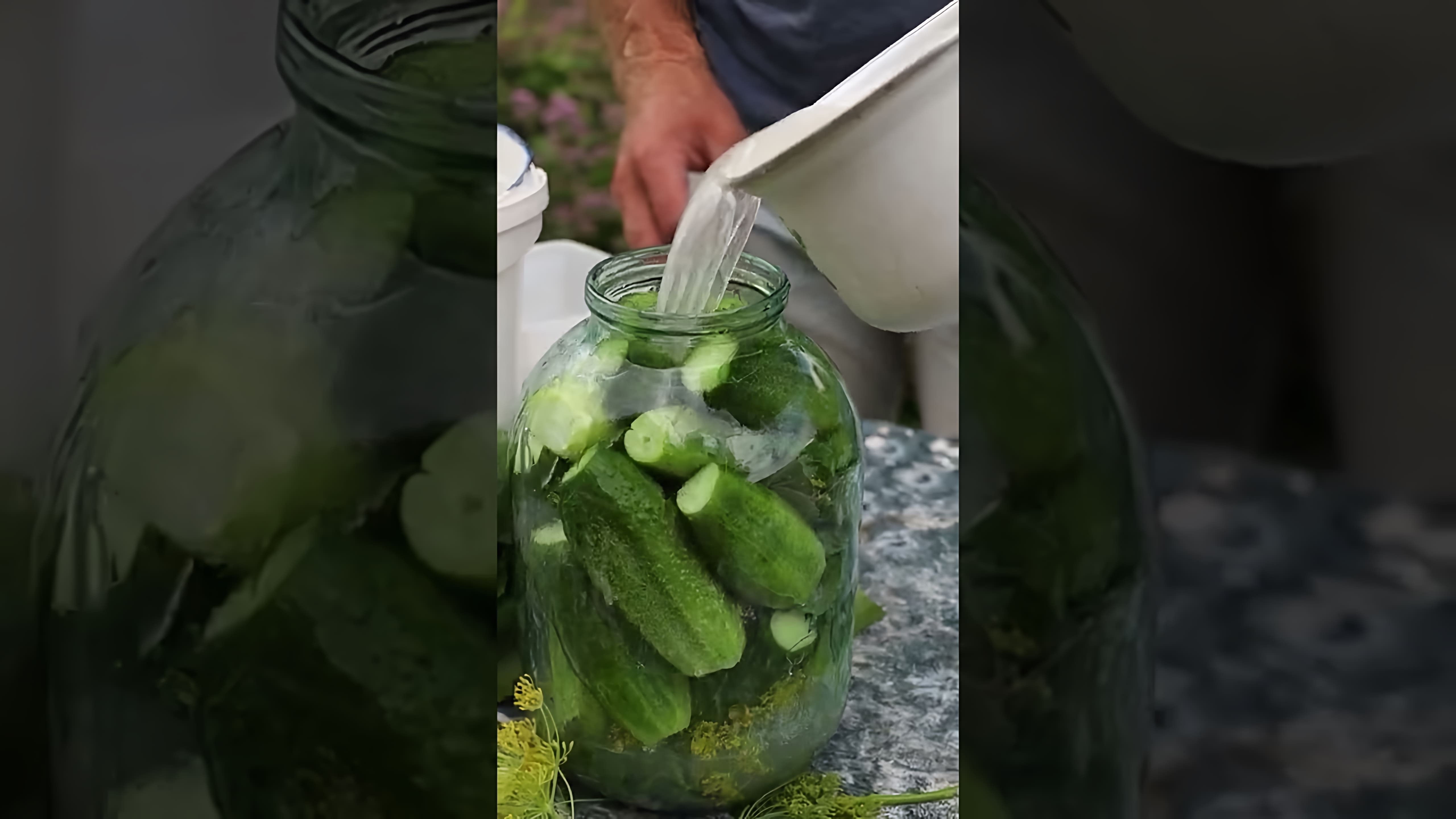 Видео рецепт для приготовления маринованных огурцов, которые могут храниться целый год