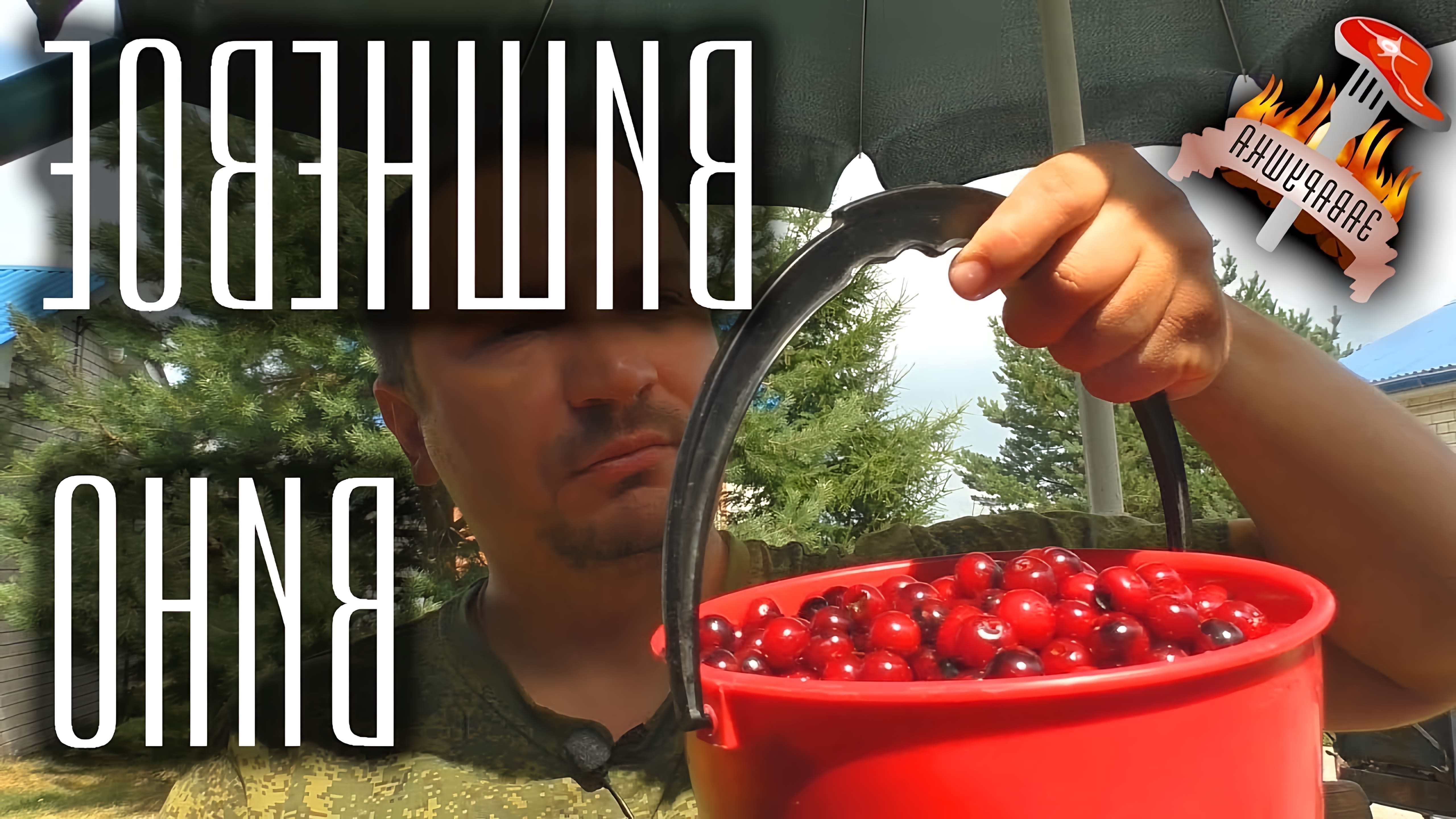 В этом видео демонстрируется процесс приготовления домашнего вишневого вина